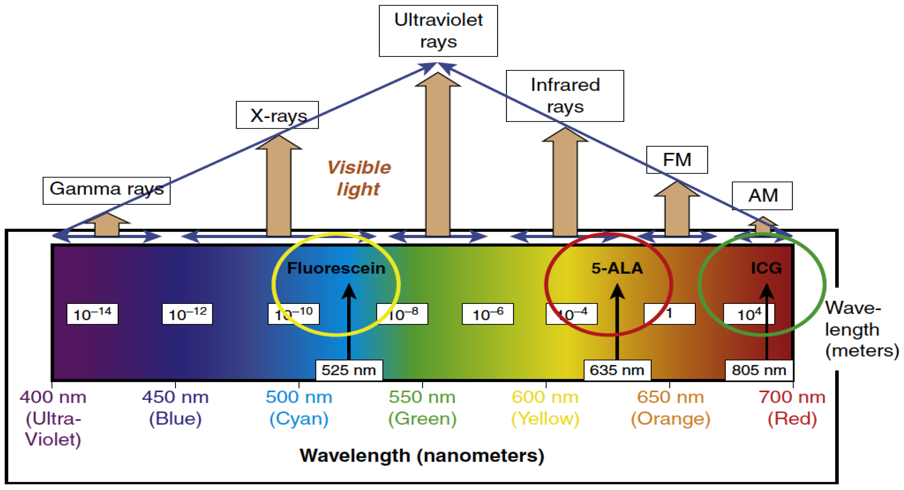 Jcm 10 00236 g001 Jcm 10 00236 g001