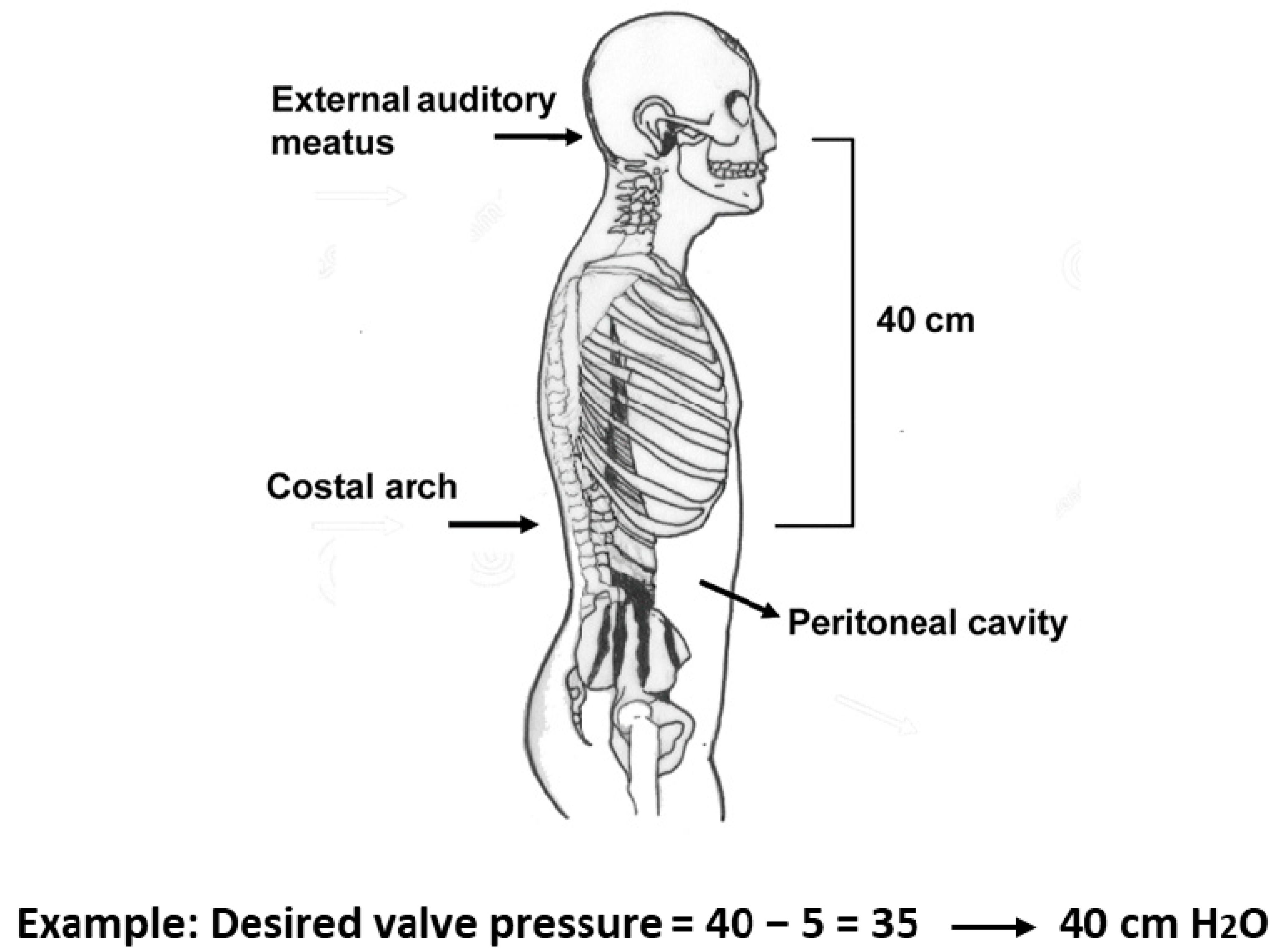 Jcm 10 00246 g002 Jcm 10 00246 g002