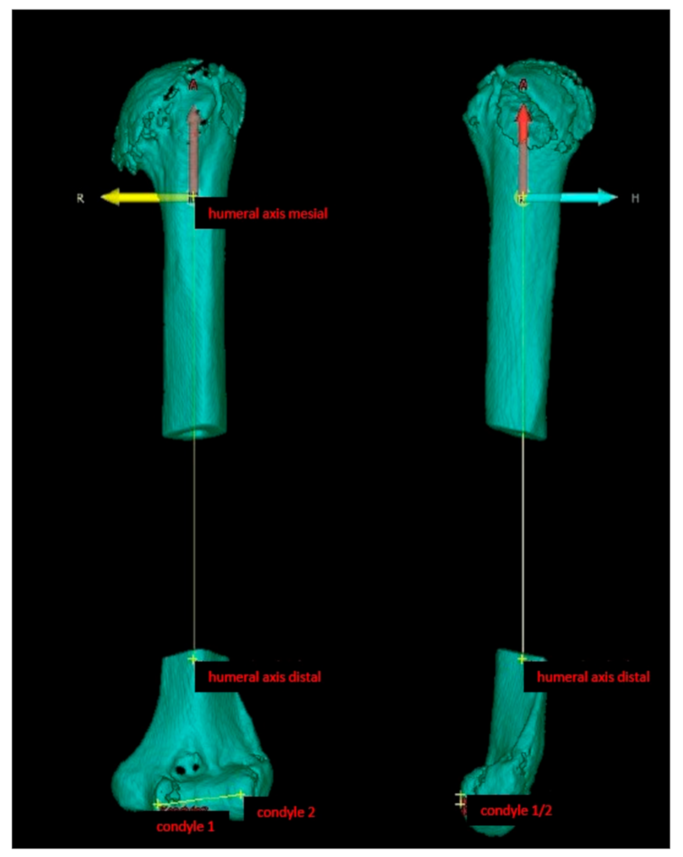 Jcm 10 00259 g001 Jcm 10 00259 g001