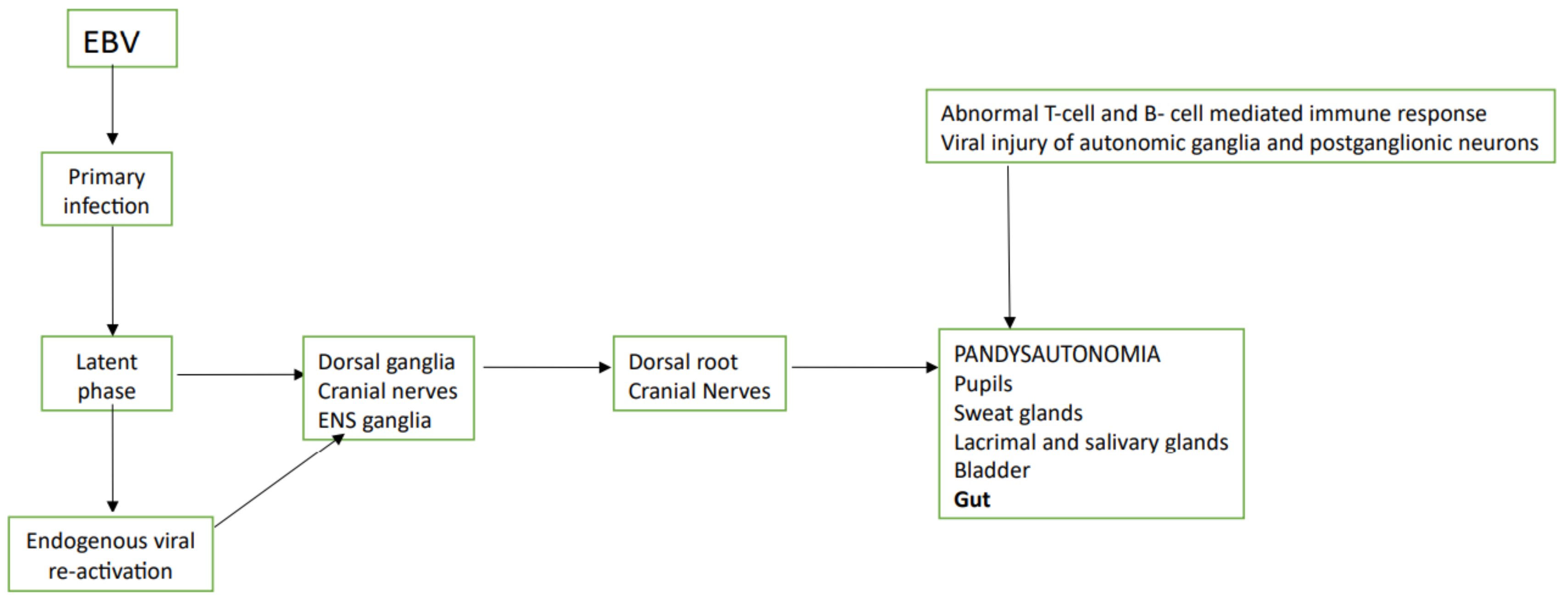 Jcm 10 00268 g002 Jcm 10 00268 g002