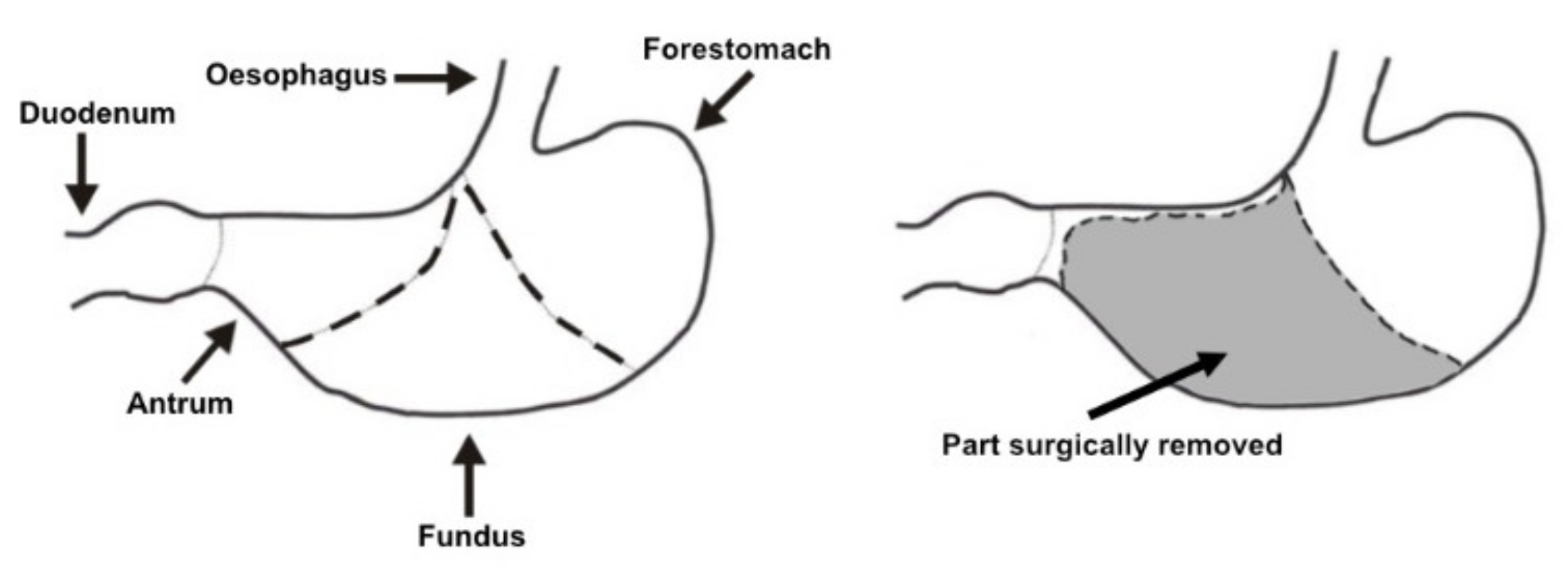 Jcm 10 00272 g001 Jcm 10 00272 g001