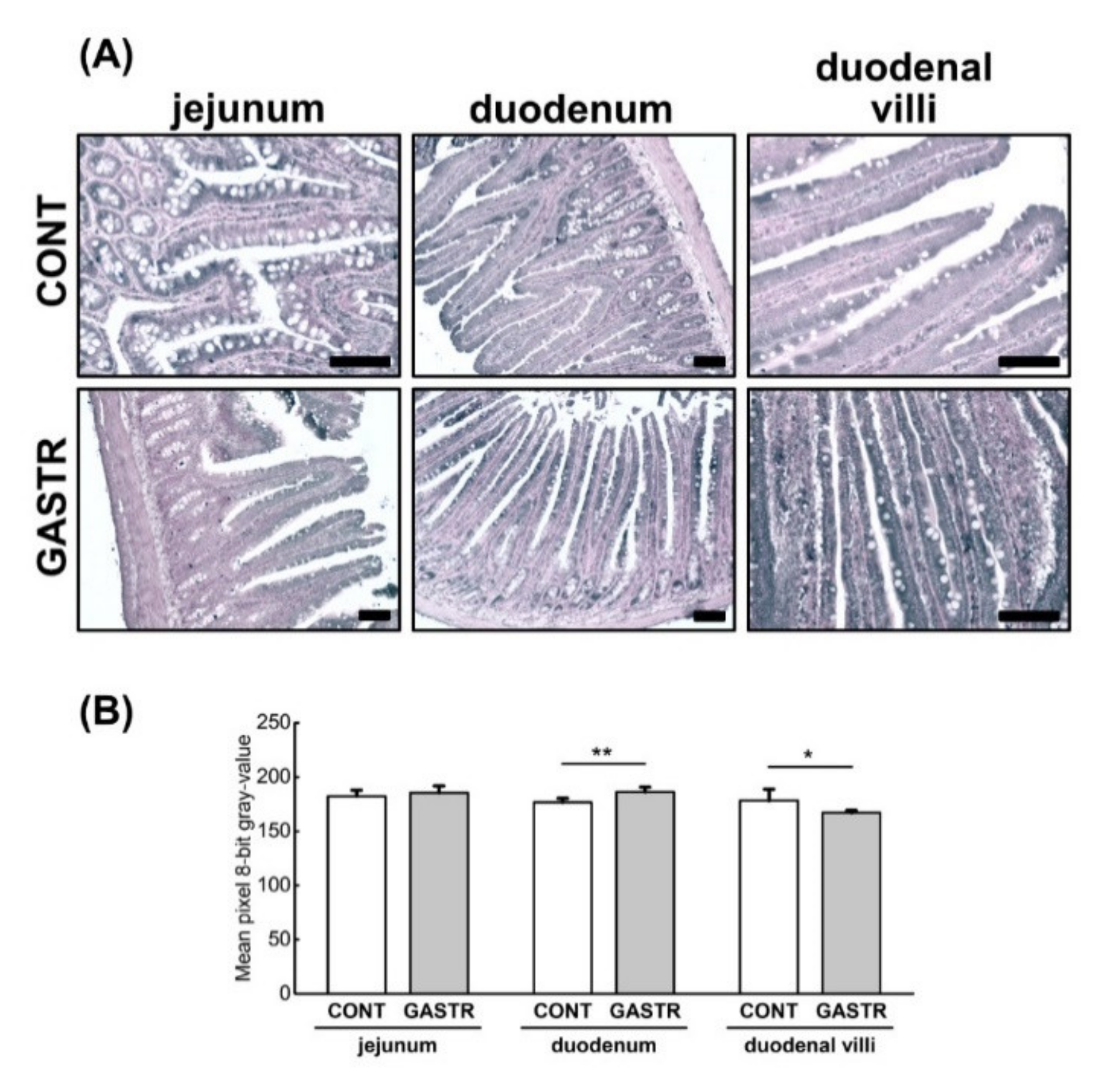 Jcm 10 00272 g008 Jcm 10 00272 g008