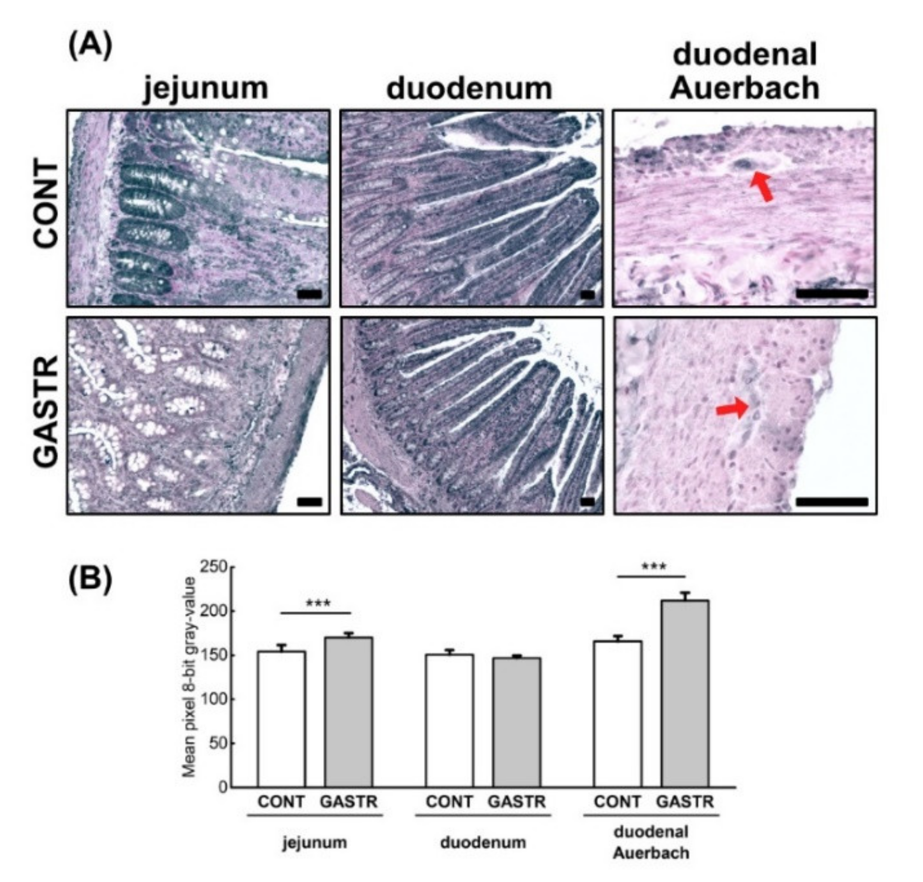 Jcm 10 00272 g009 Jcm 10 00272 g009