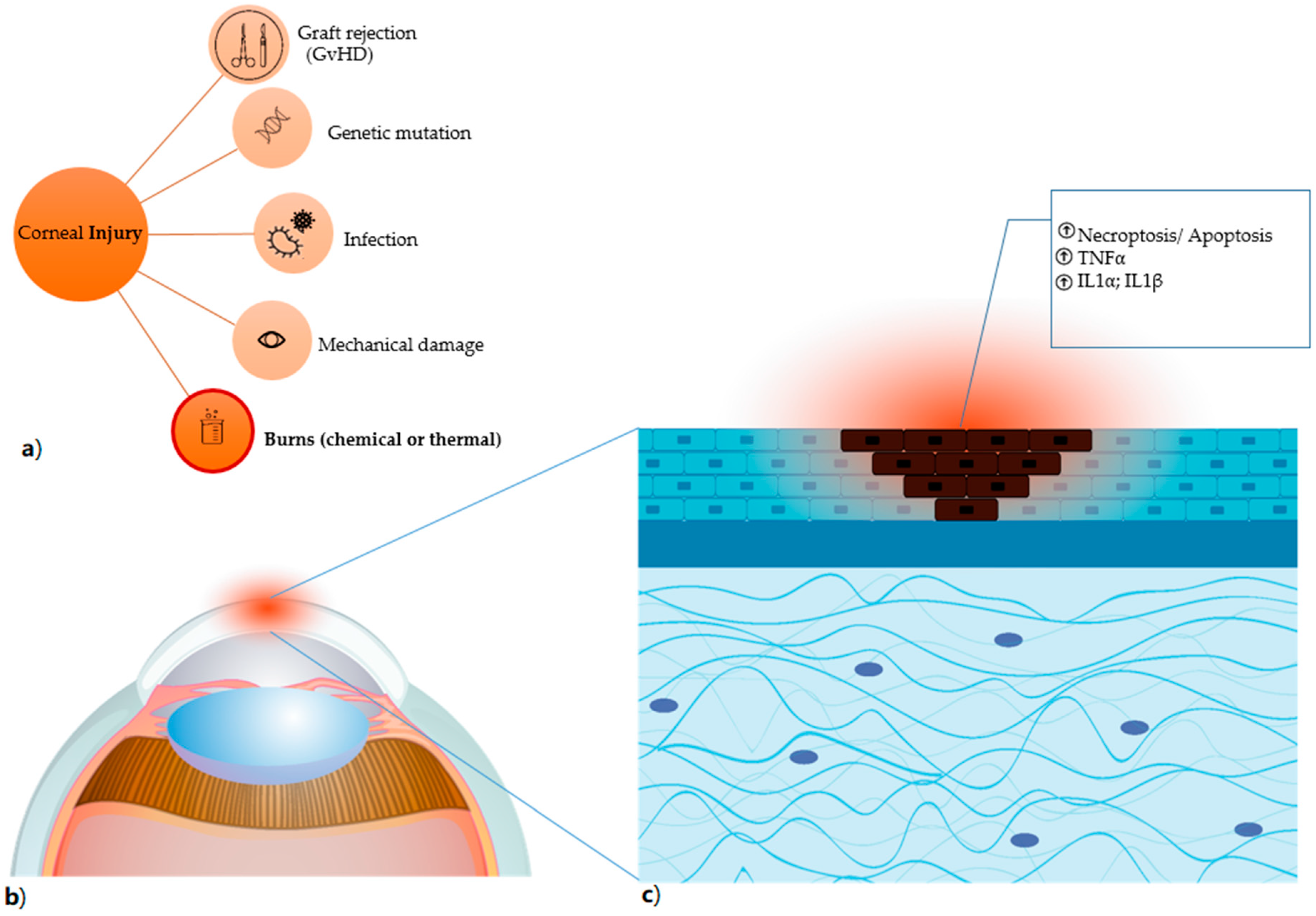 Jcm 10 00317 g002 Jcm 10 00317 g002