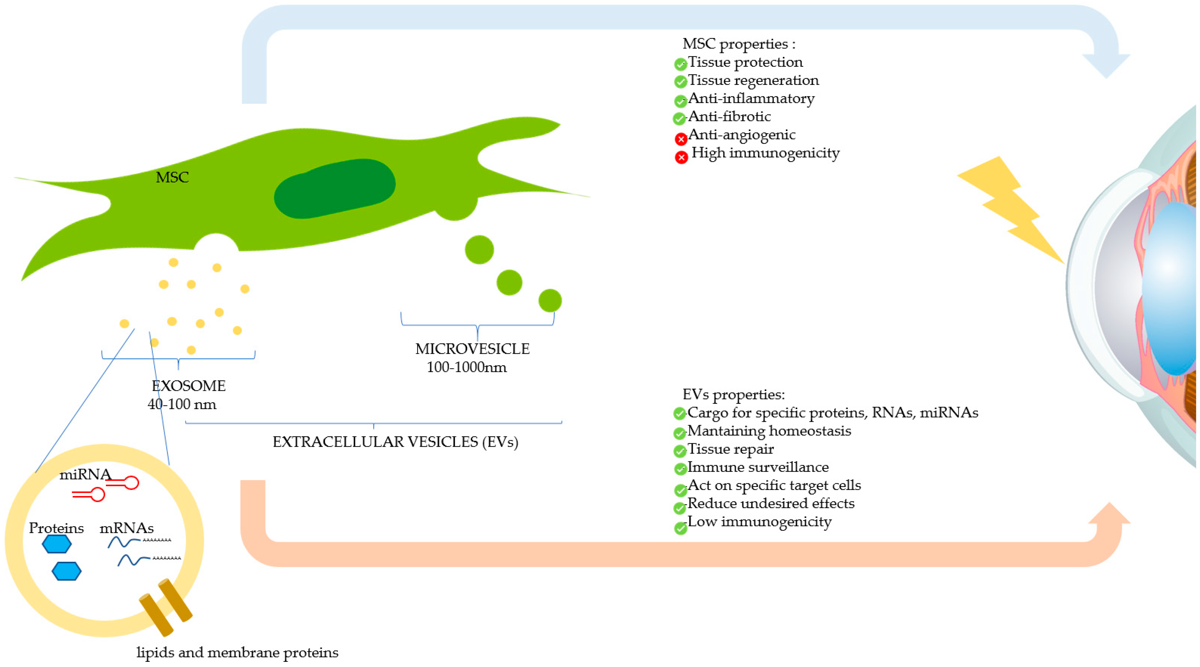 Jcm 10 00317 g004 Jcm 10 00317 g004