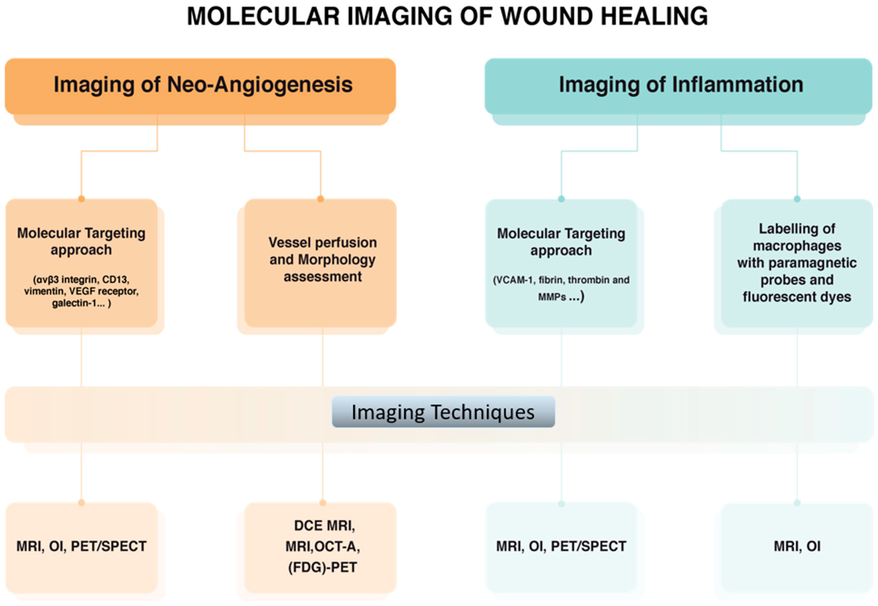 Jcm 10 00317 g005 Jcm 10 00317 g005