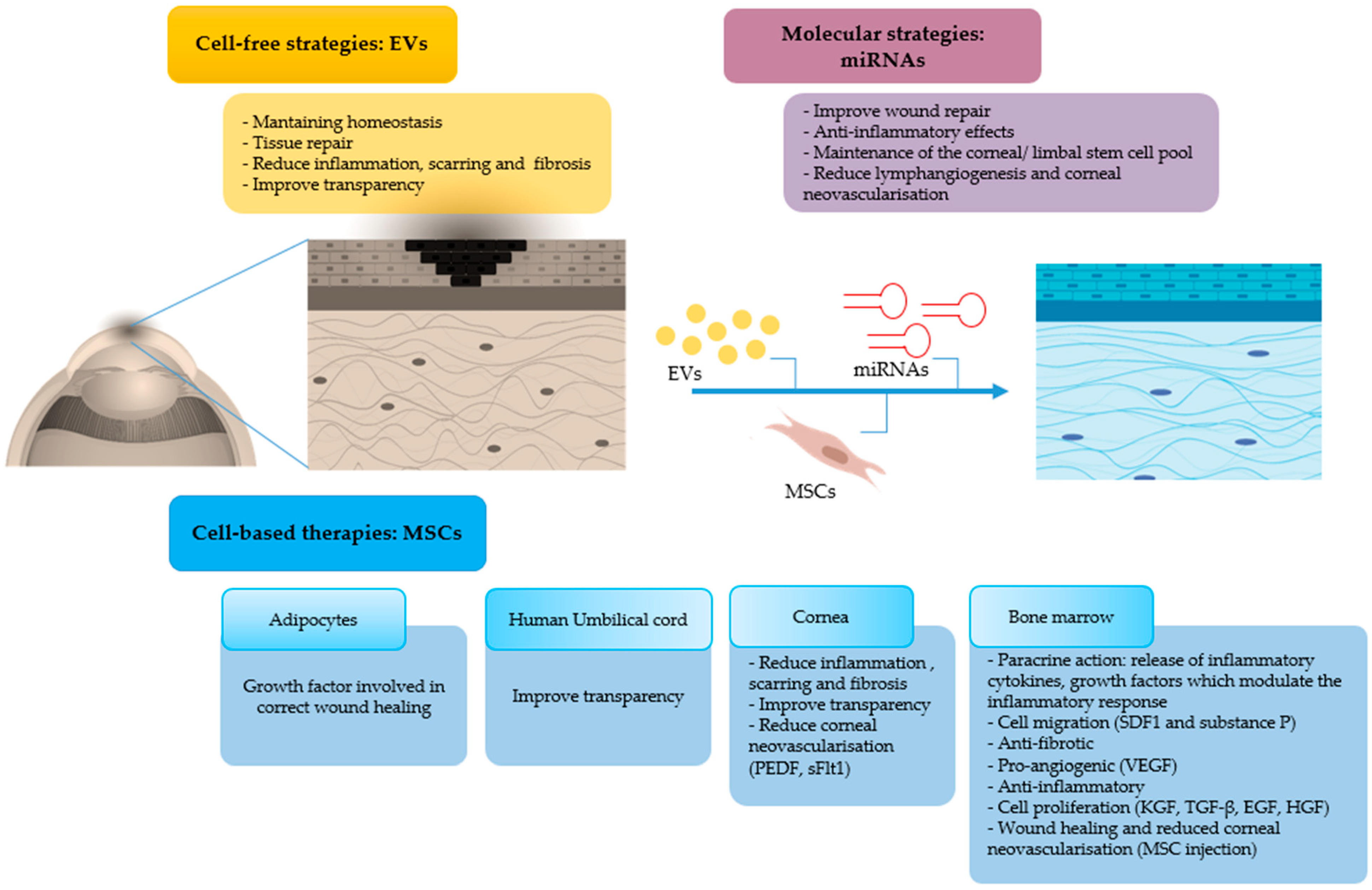 Jcm 10 00317 g007 Jcm 10 00317 g007