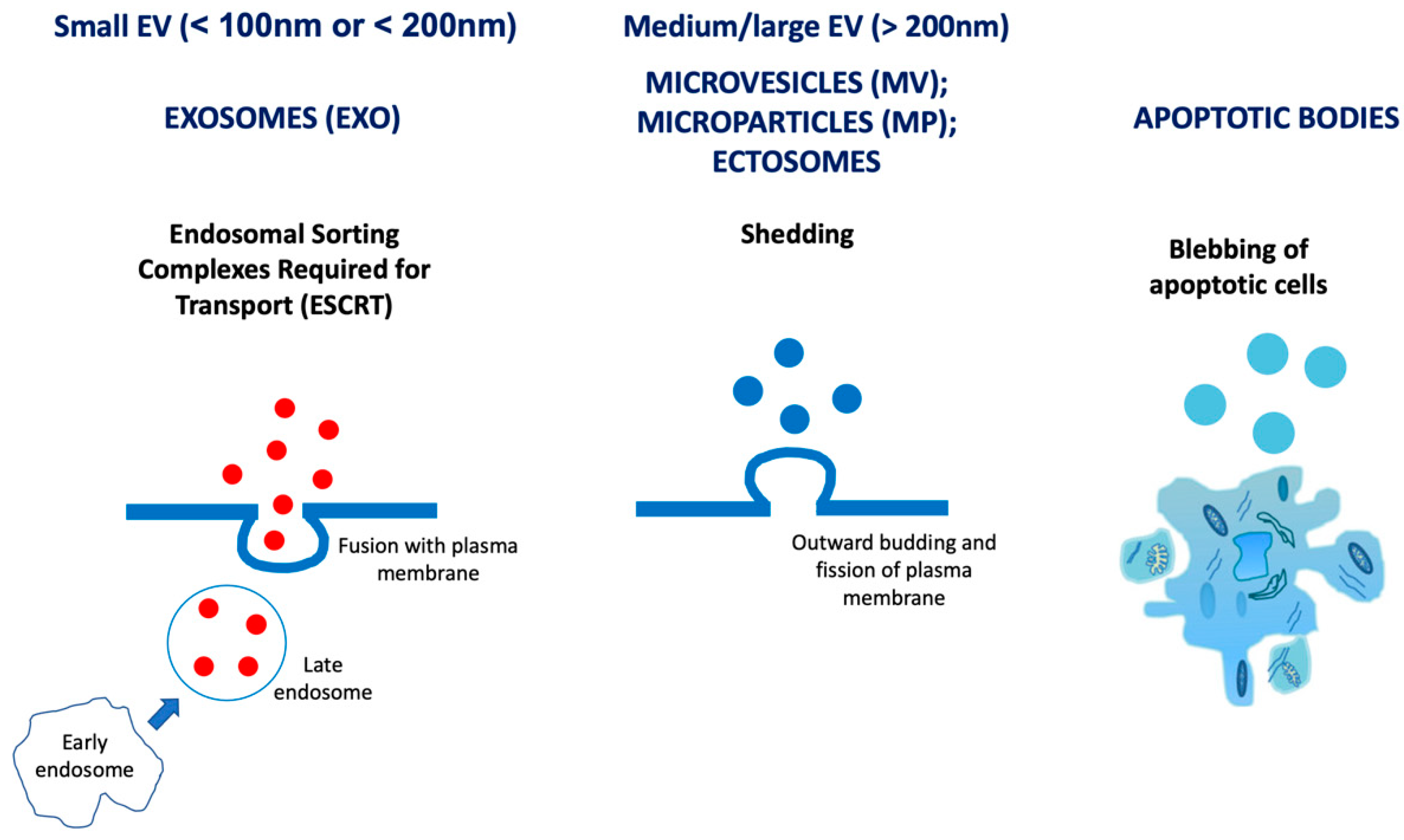 Jcm 10 00327 g001 Jcm 10 00327 g001