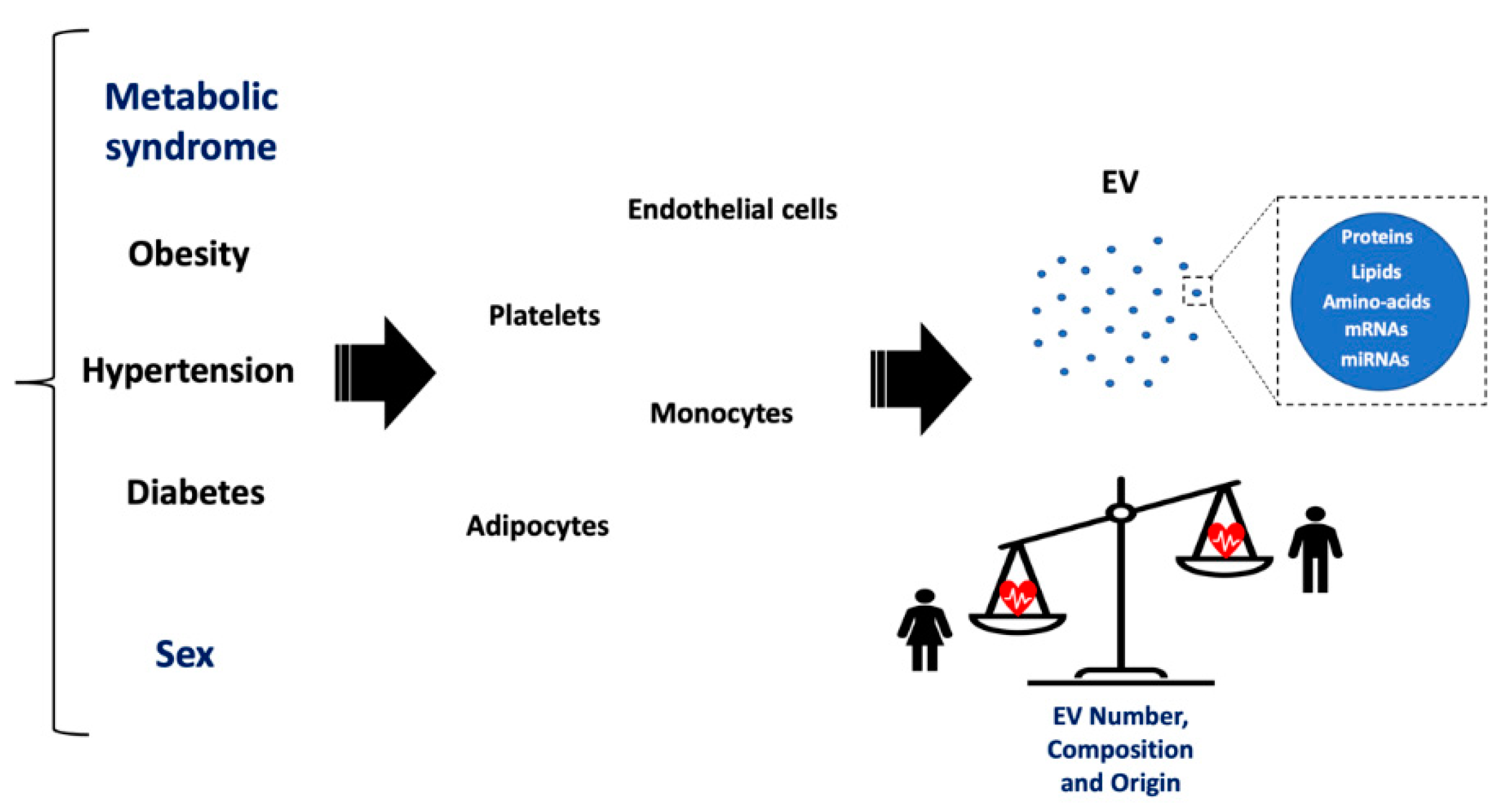 Jcm 10 00327 g002 Jcm 10 00327 g002