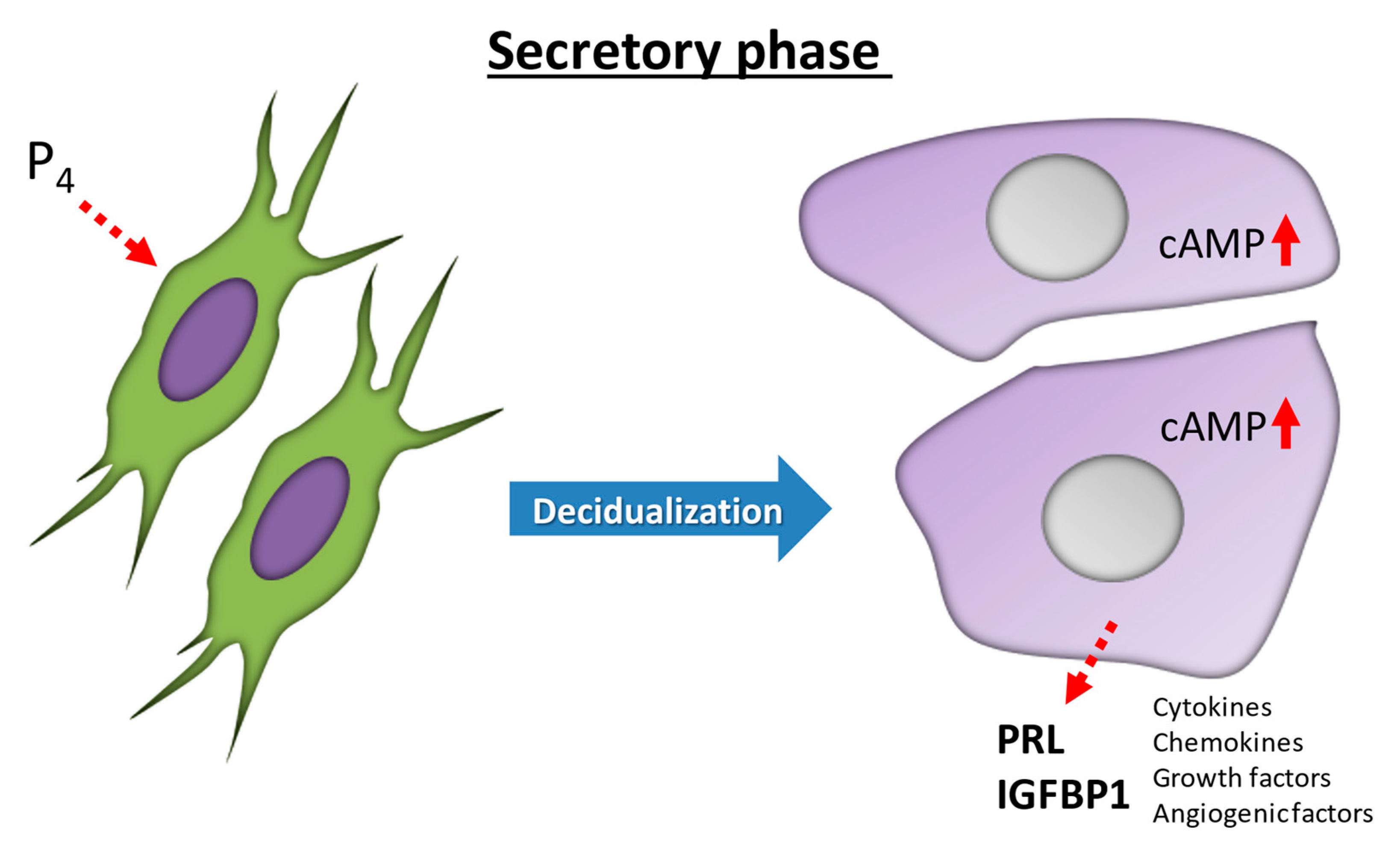 Jcm 10 00351 g001 Jcm 10 00351 g001
