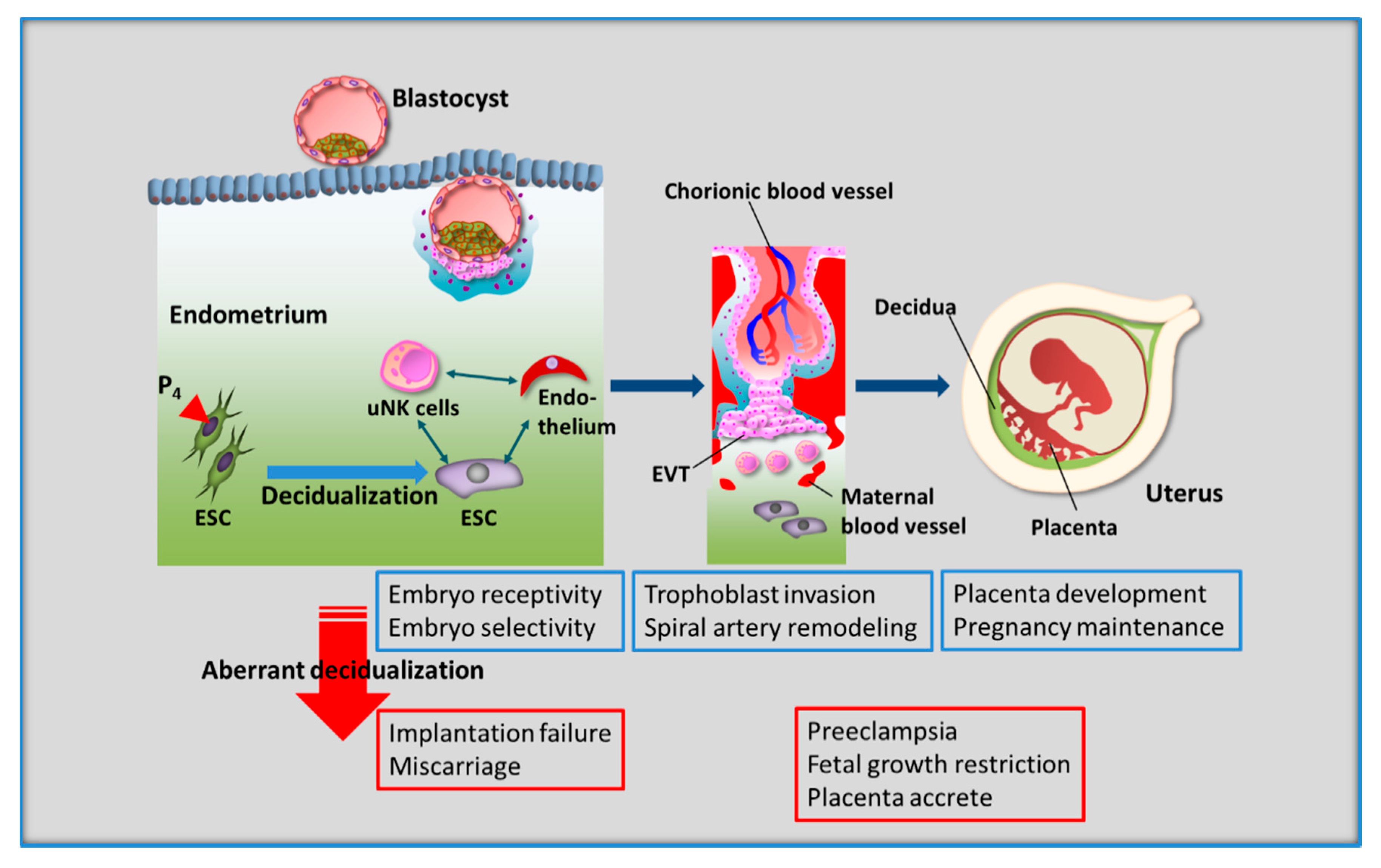 Jcm 10 00351 g002 Jcm 10 00351 g002