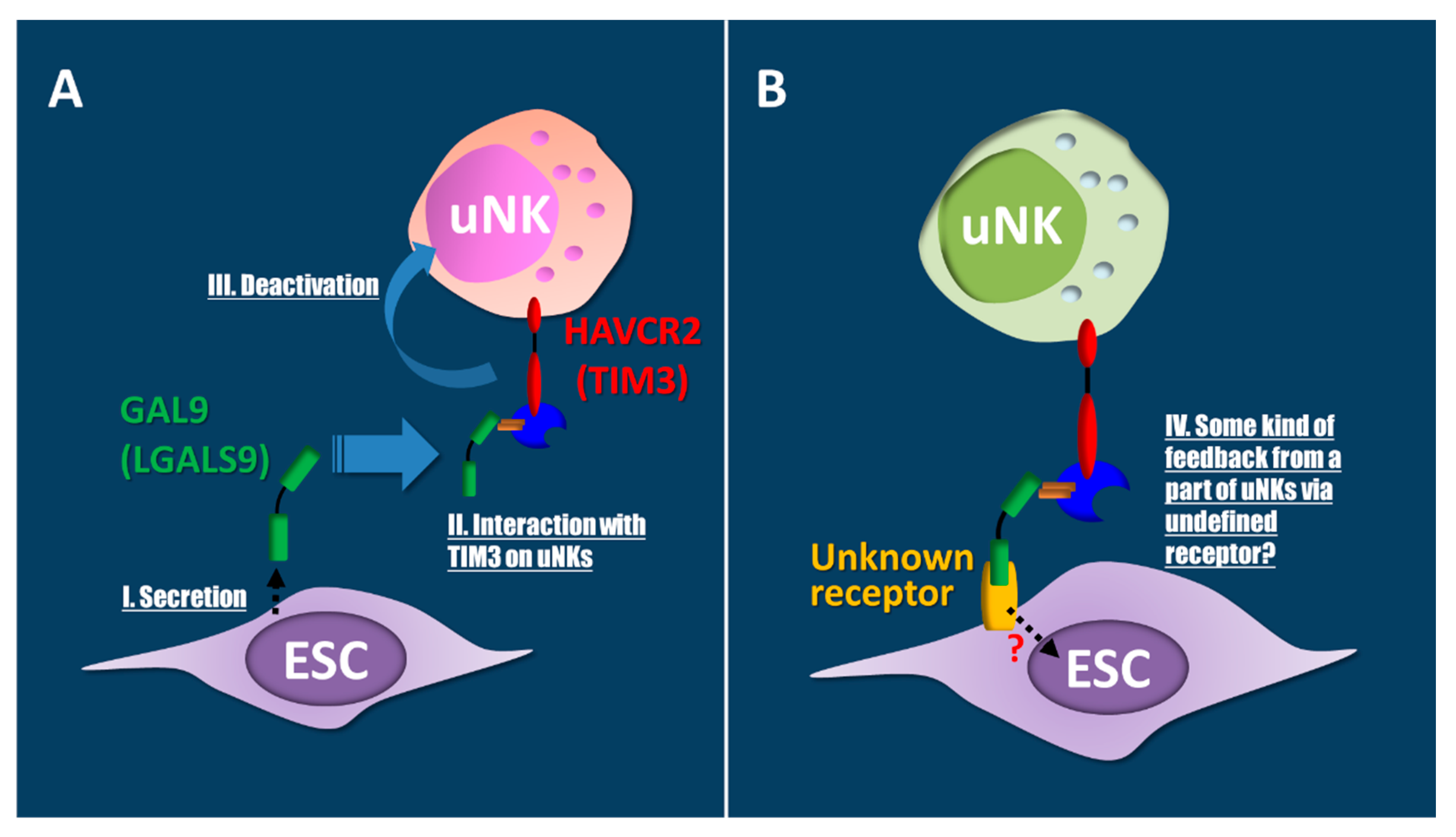 Jcm 10 00351 g005 Jcm 10 00351 g005