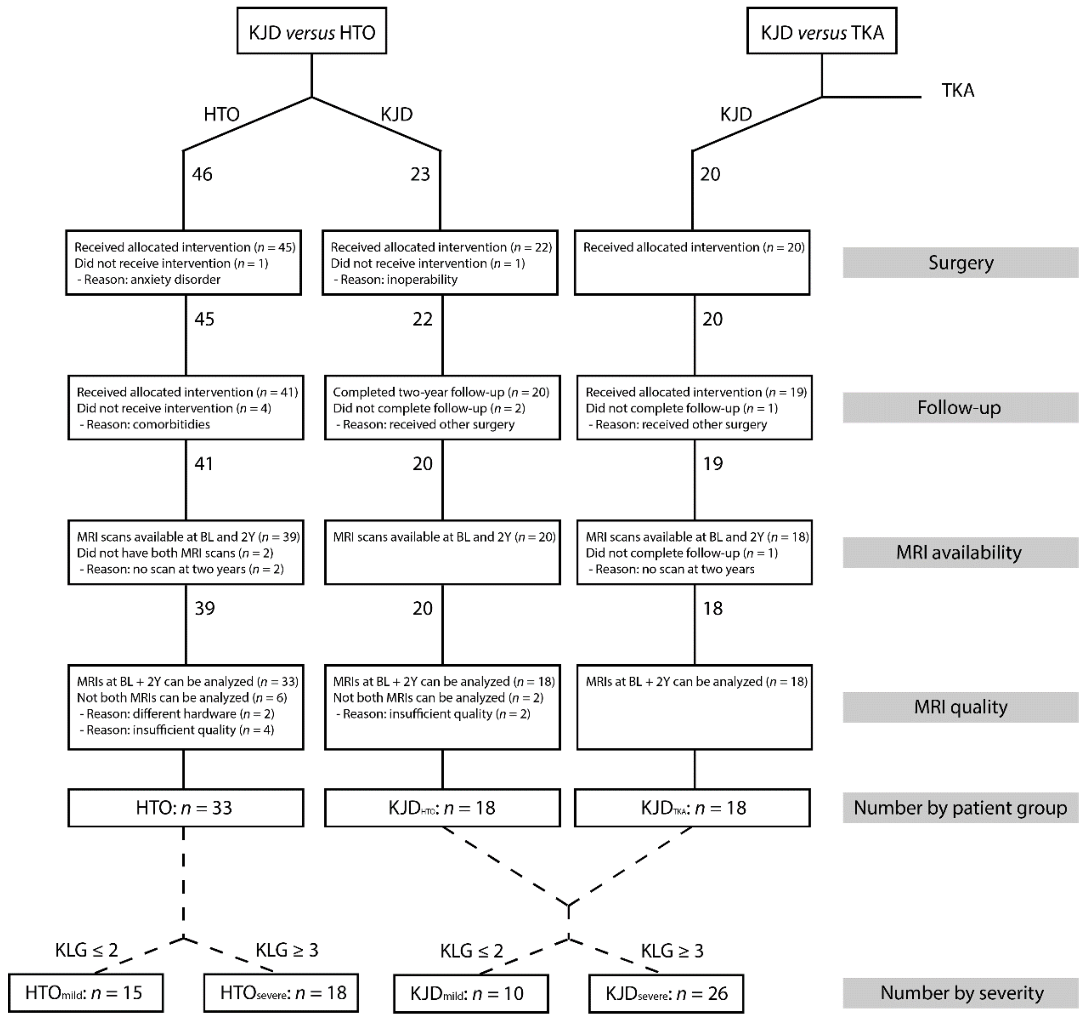 Jcm 10 00368 g001 Jcm 10 00368 g001