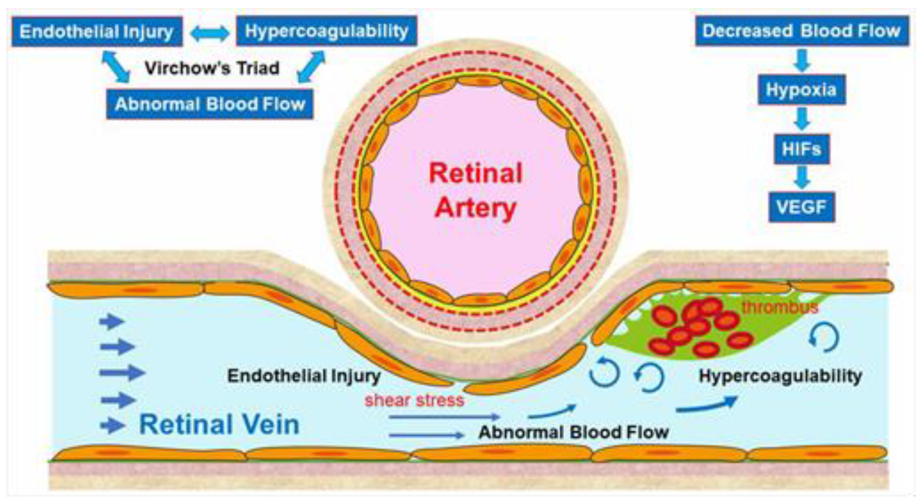 Jcm 10 00405 g002 Jcm 10 00405 g002