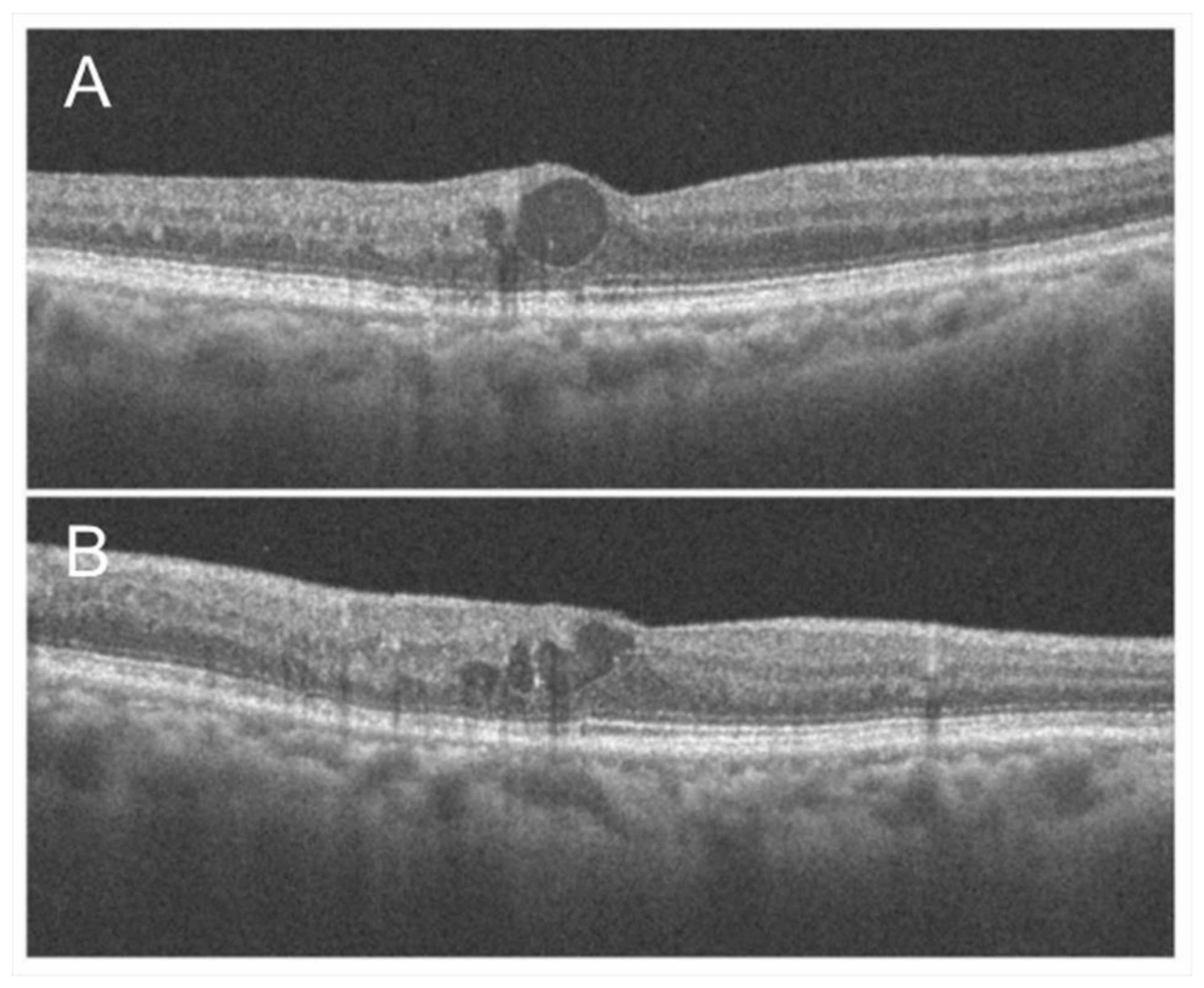 Jcm 10 00405 g005 Jcm 10 00405 g005