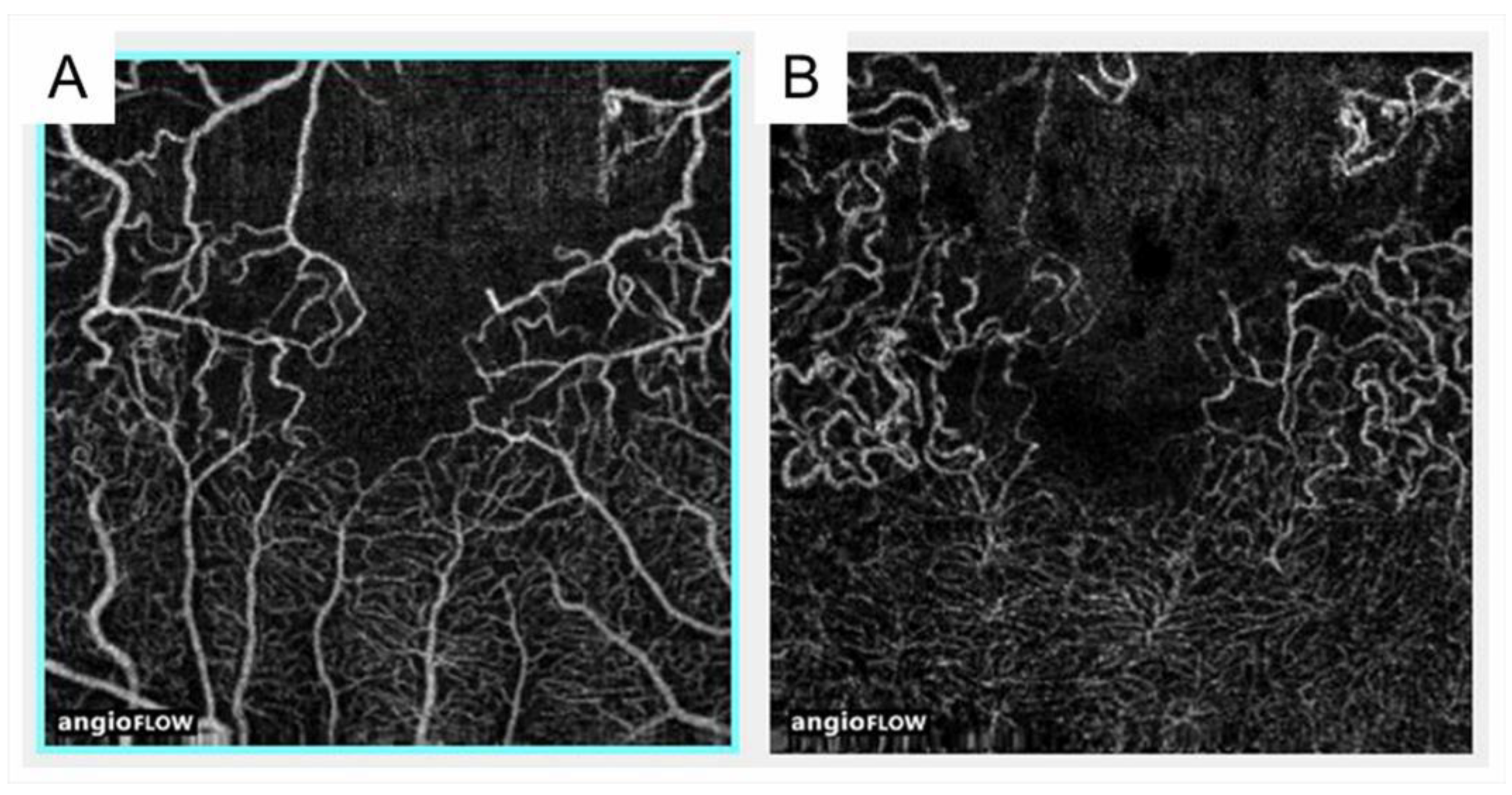 Jcm 10 00405 g008 Jcm 10 00405 g008