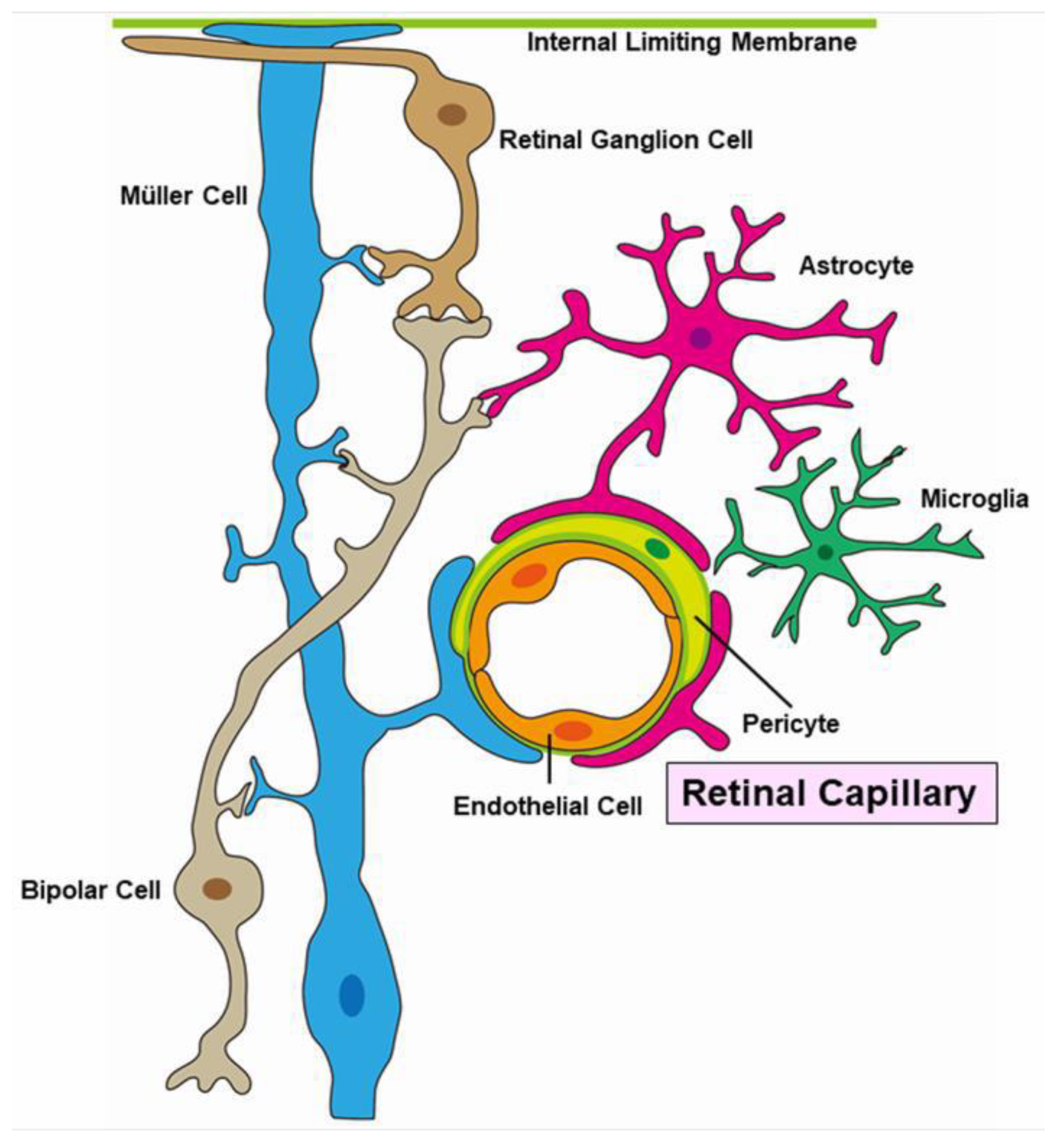 Jcm 10 00405 g016 Jcm 10 00405 g016