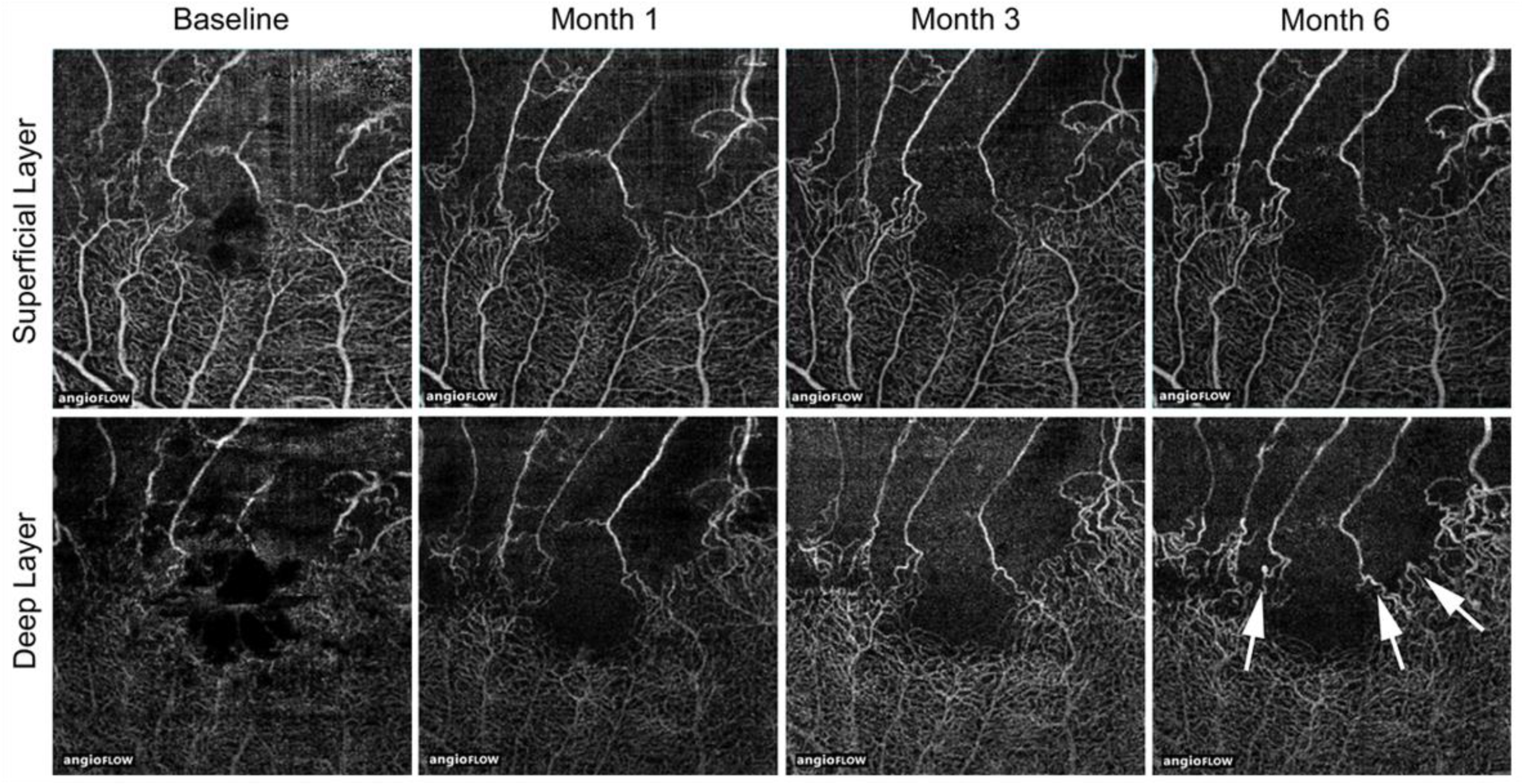 Jcm 10 00405 g021 Jcm 10 00405 g021