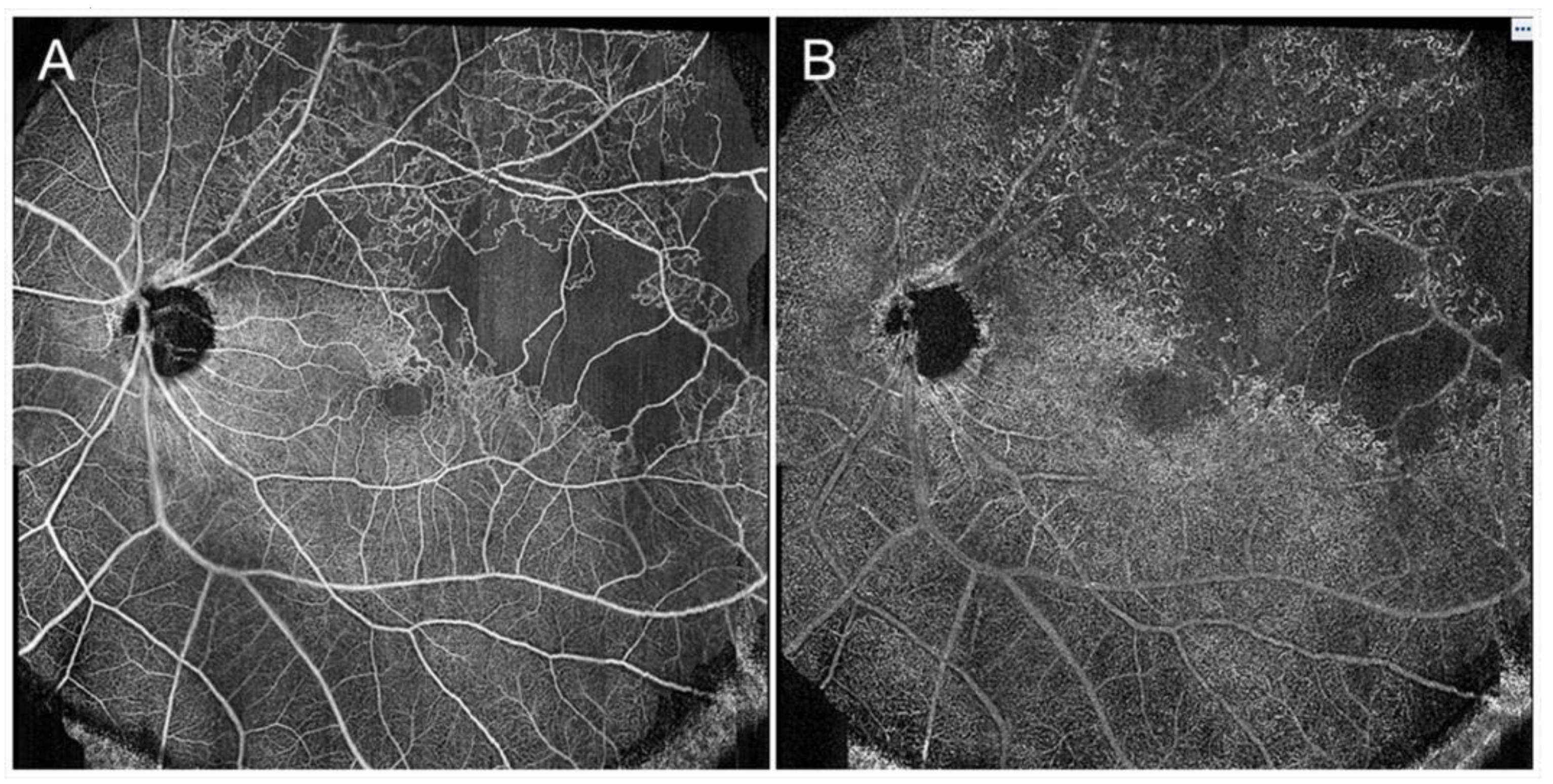 Jcm 10 00405 g022 Jcm 10 00405 g022