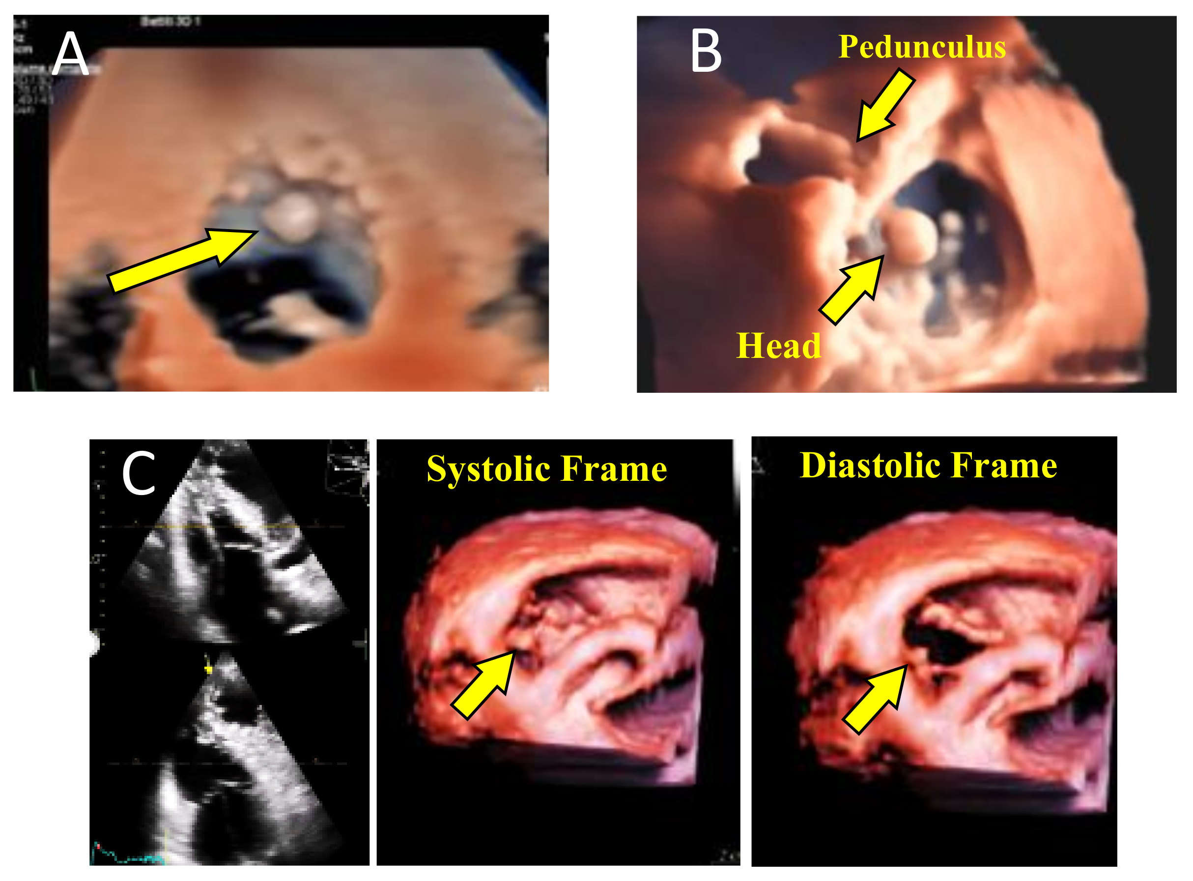 Jcm 10 00408 g002 Jcm 10 00408 g002
