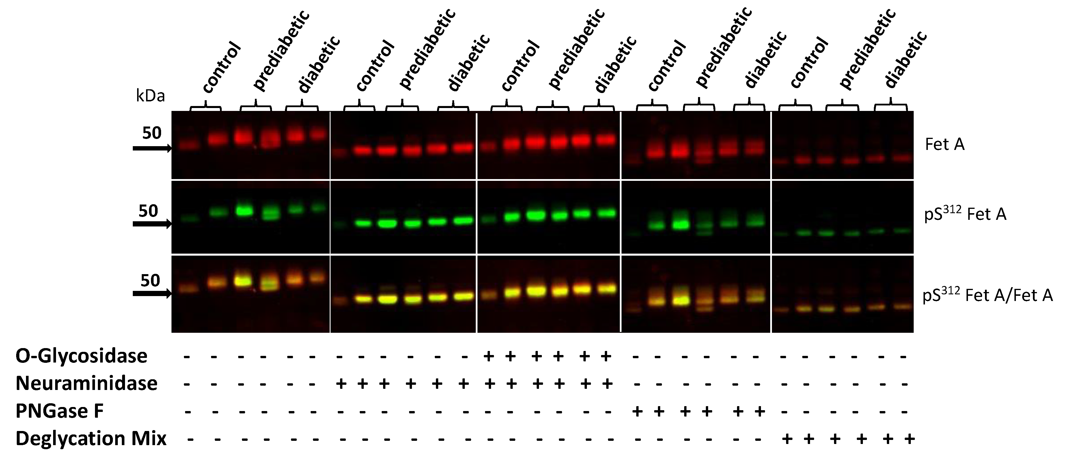 Jcm 10 00411 g004 Jcm 10 00411 g004