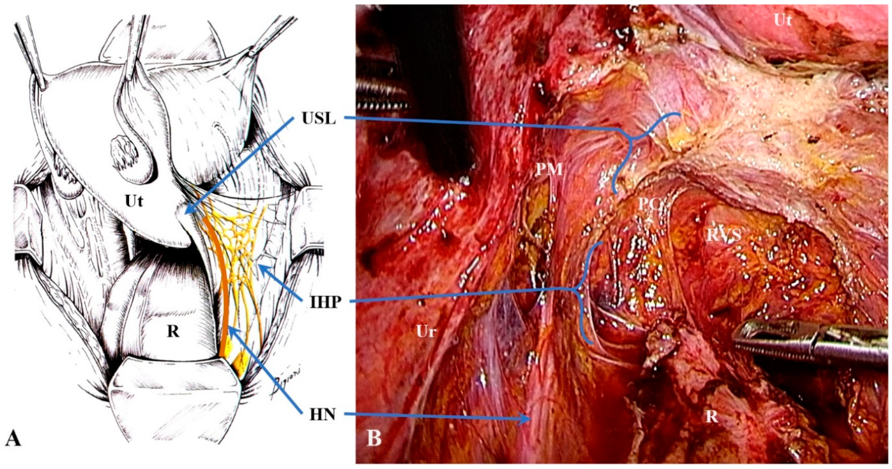 Jcm 10 00437 g007 Jcm 10 00437 g007