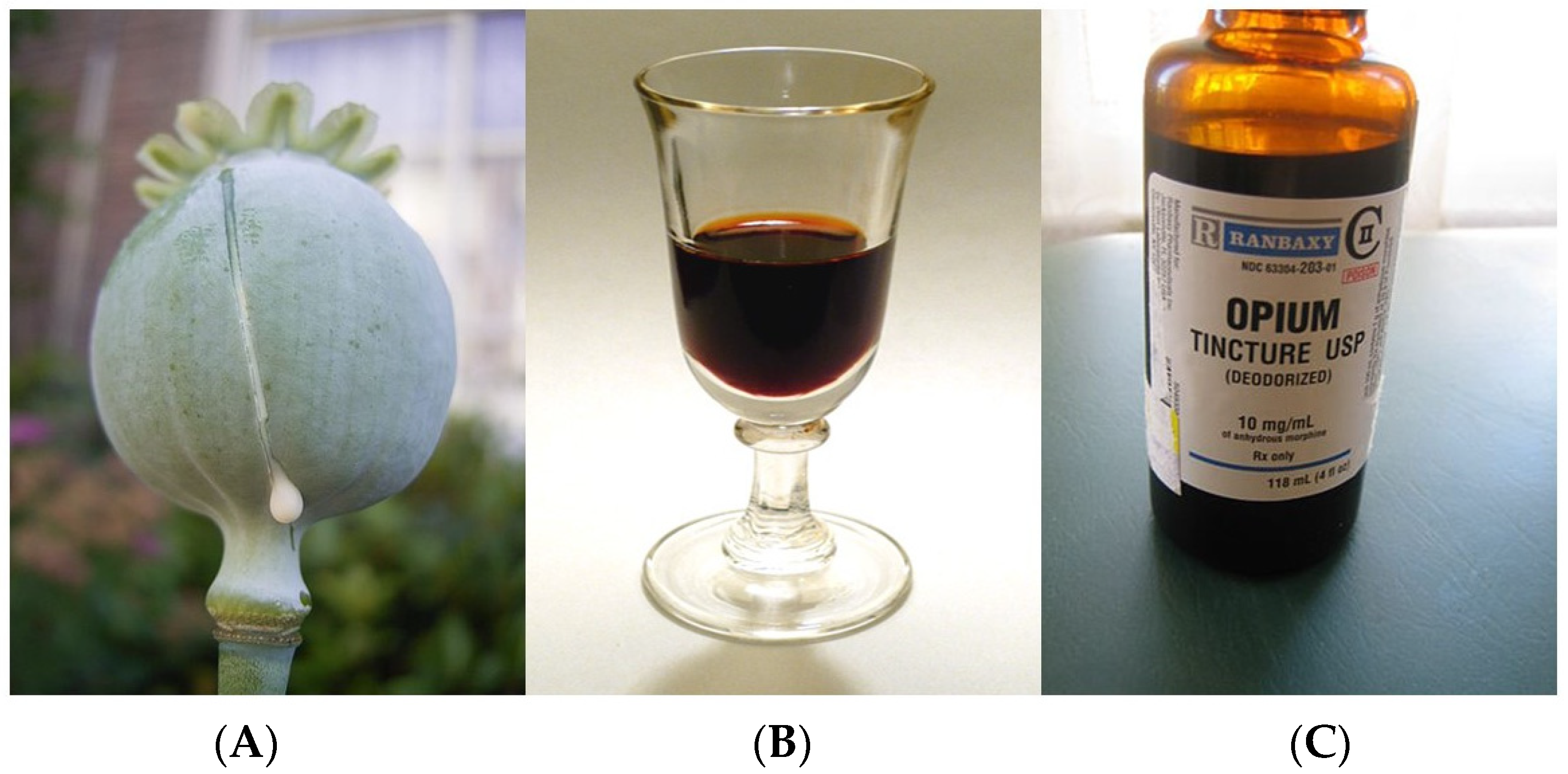 Jcm 10 00438 g002 Jcm 10 00438 g002
