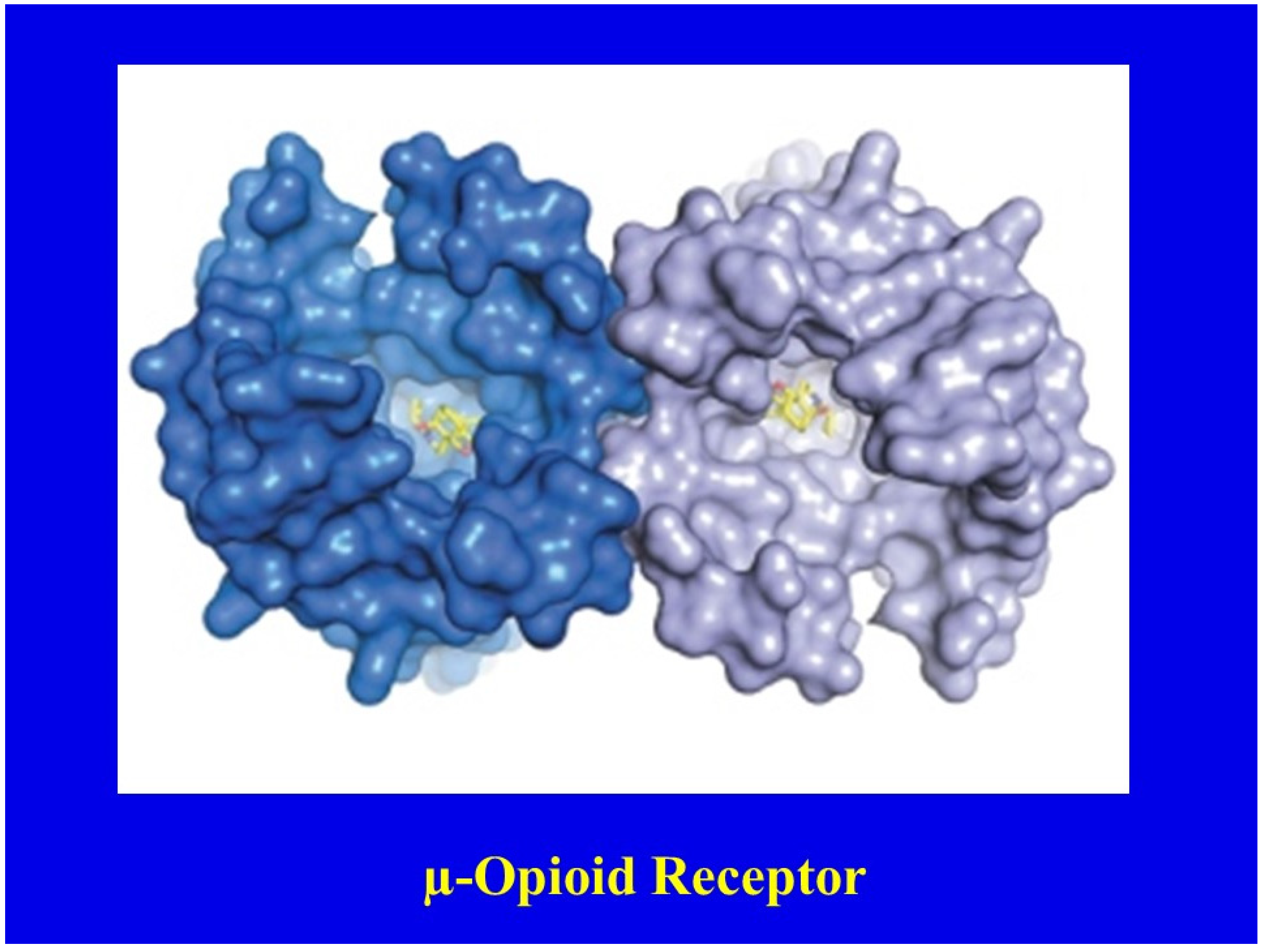 Jcm 10 00438 g005 Jcm 10 00438 g005