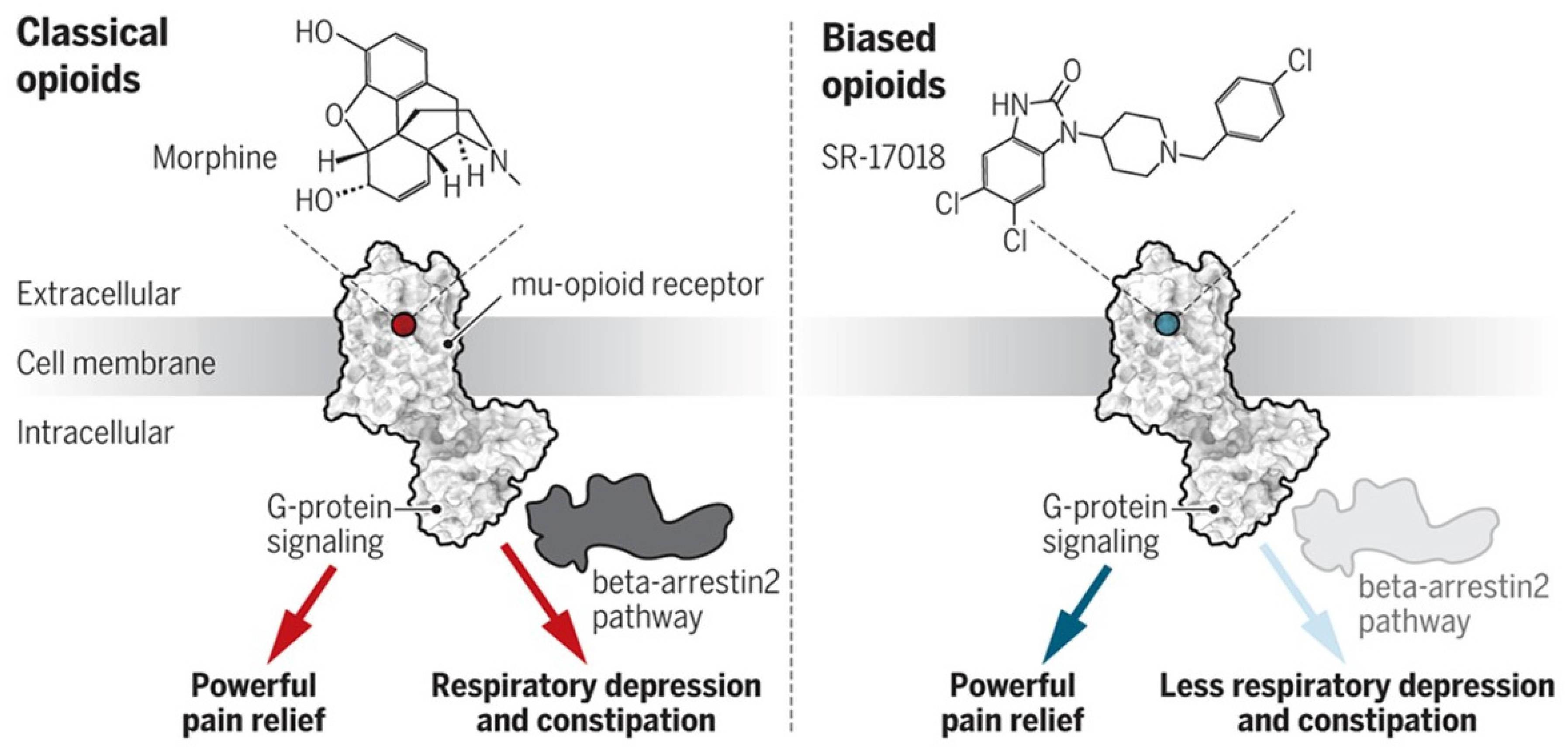 Jcm 10 00438 g006 Jcm 10 00438 g006