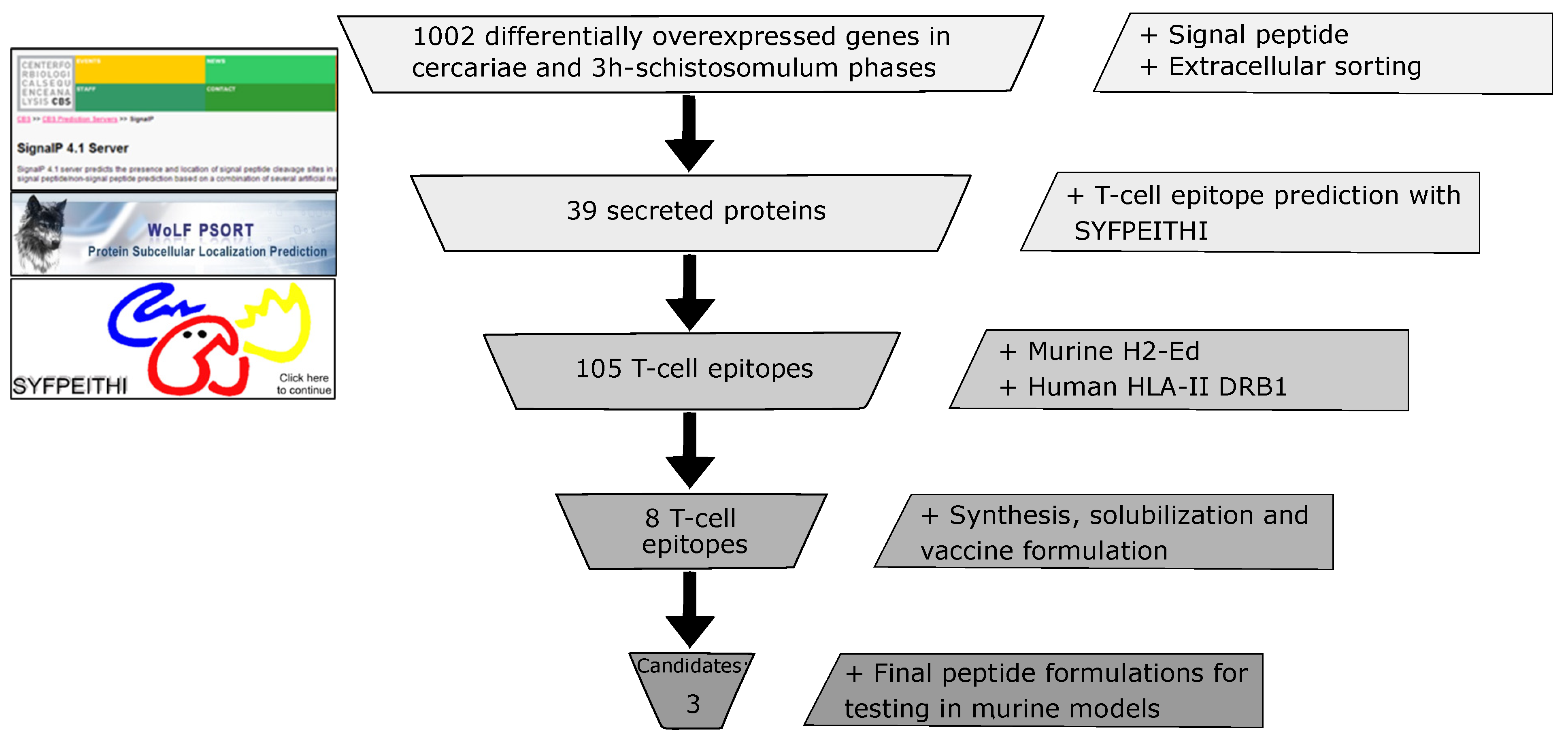 Jcm 10 00445 g001 Jcm 10 00445 g001