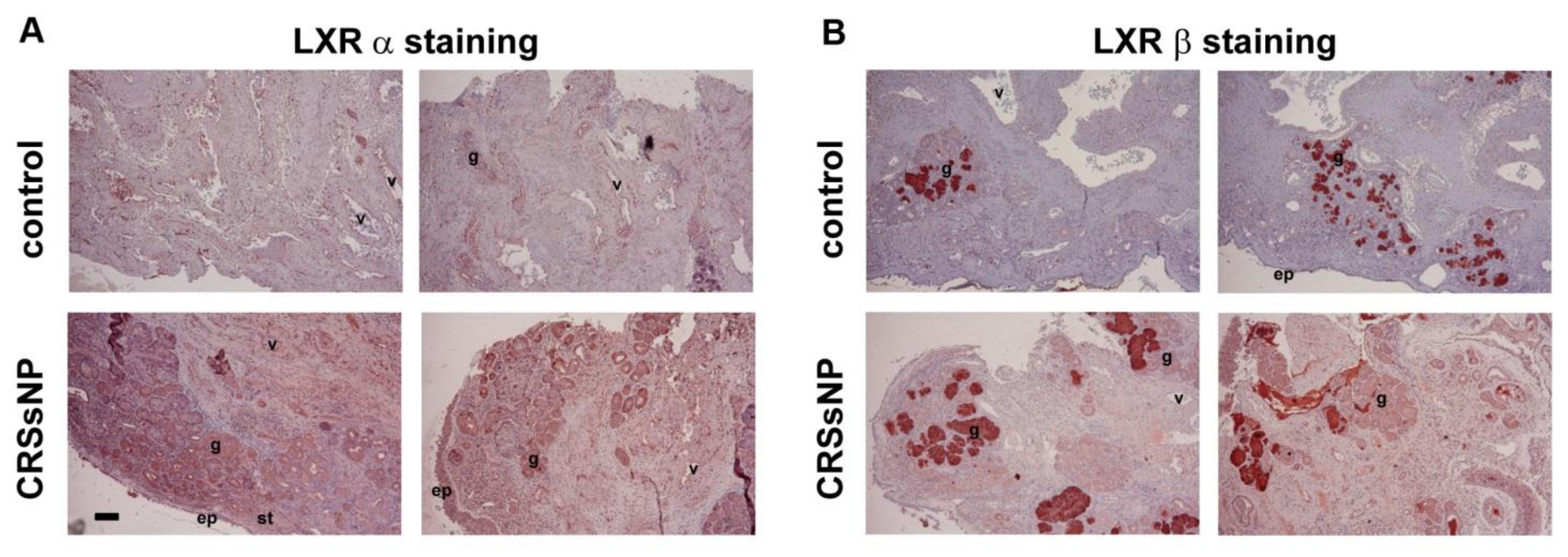 Jcm 10 00452 g001 Jcm 10 00452 g001
