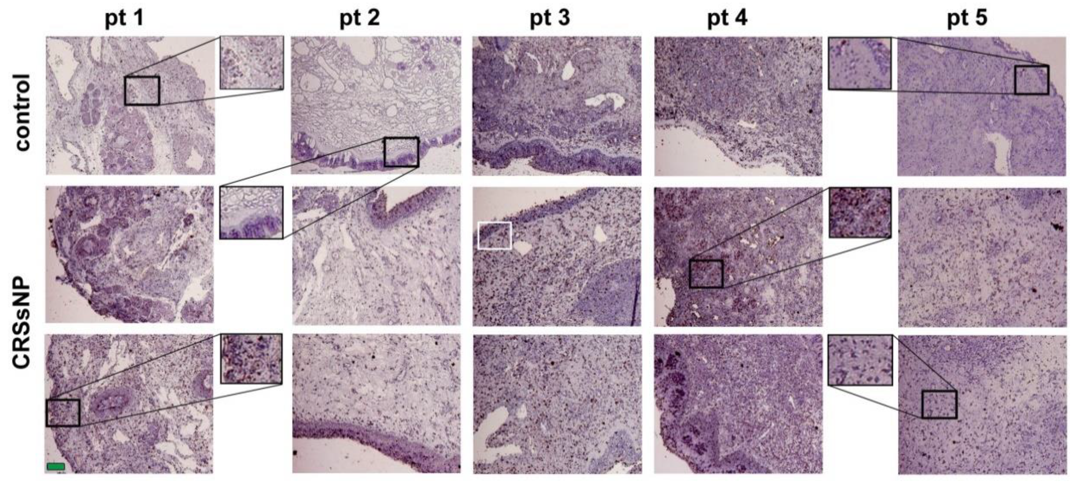 Jcm 10 00452 g002 Jcm 10 00452 g002