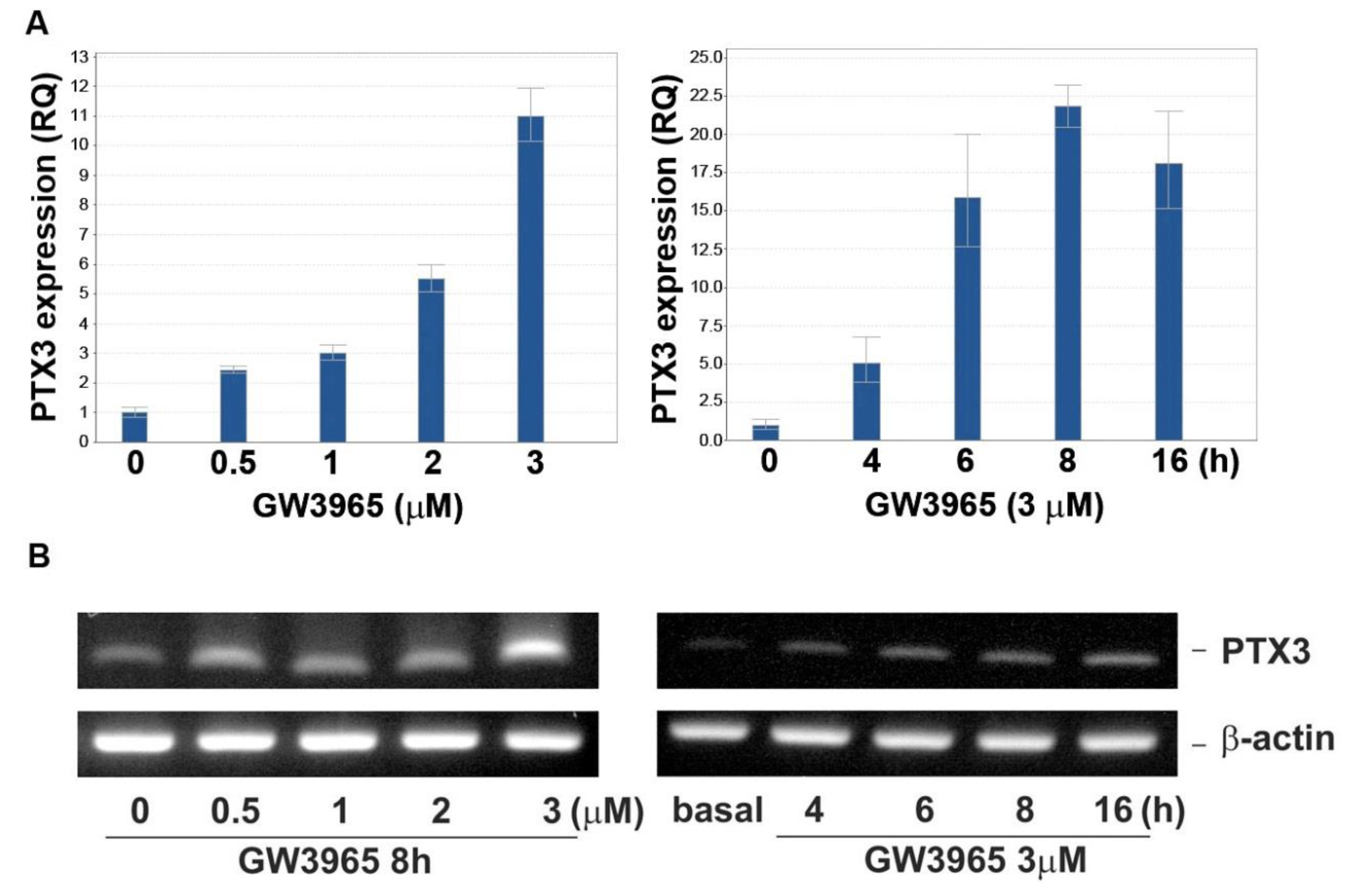 Jcm 10 00452 g004 Jcm 10 00452 g004
