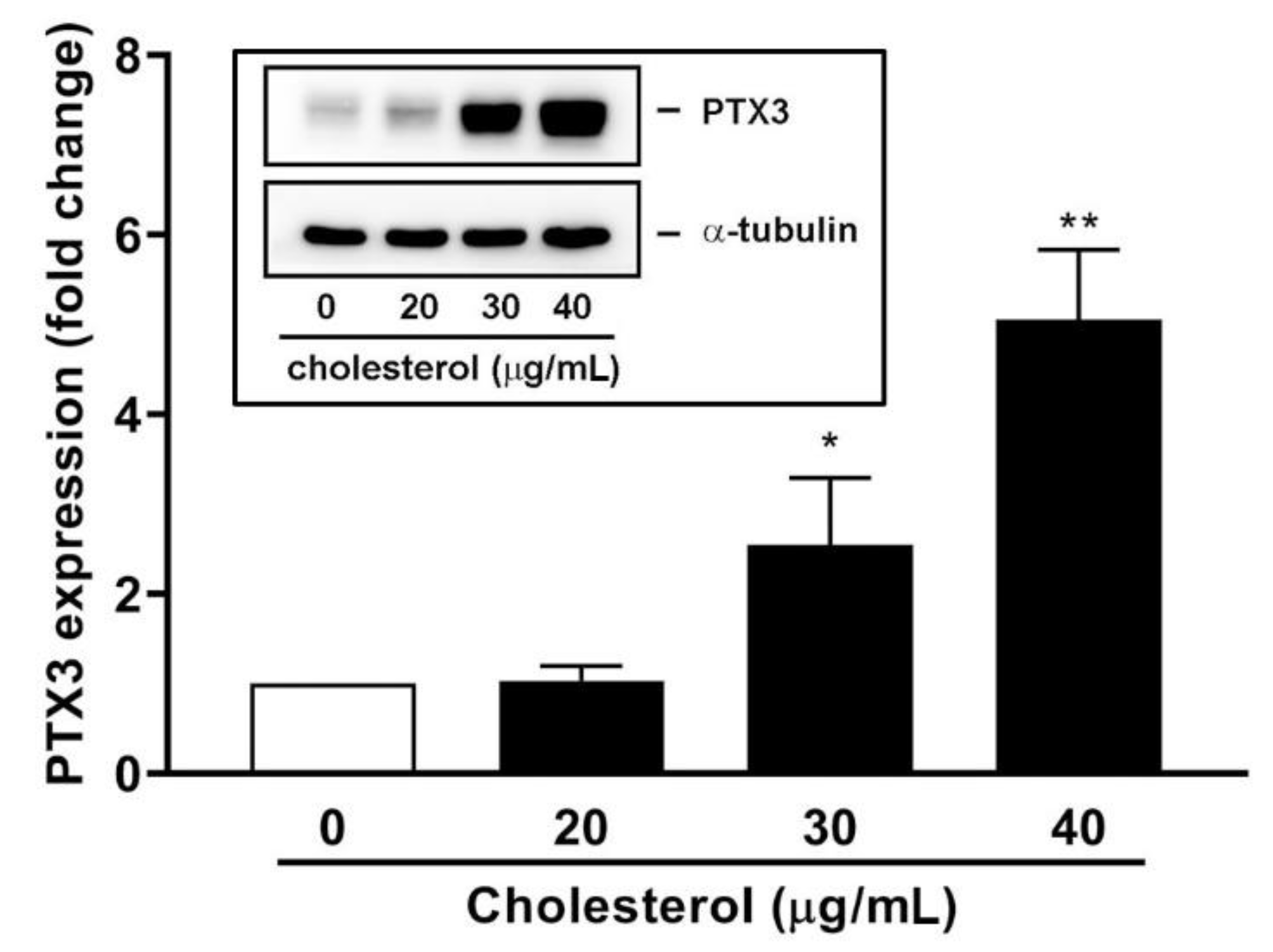 Jcm 10 00452 g006 Jcm 10 00452 g006