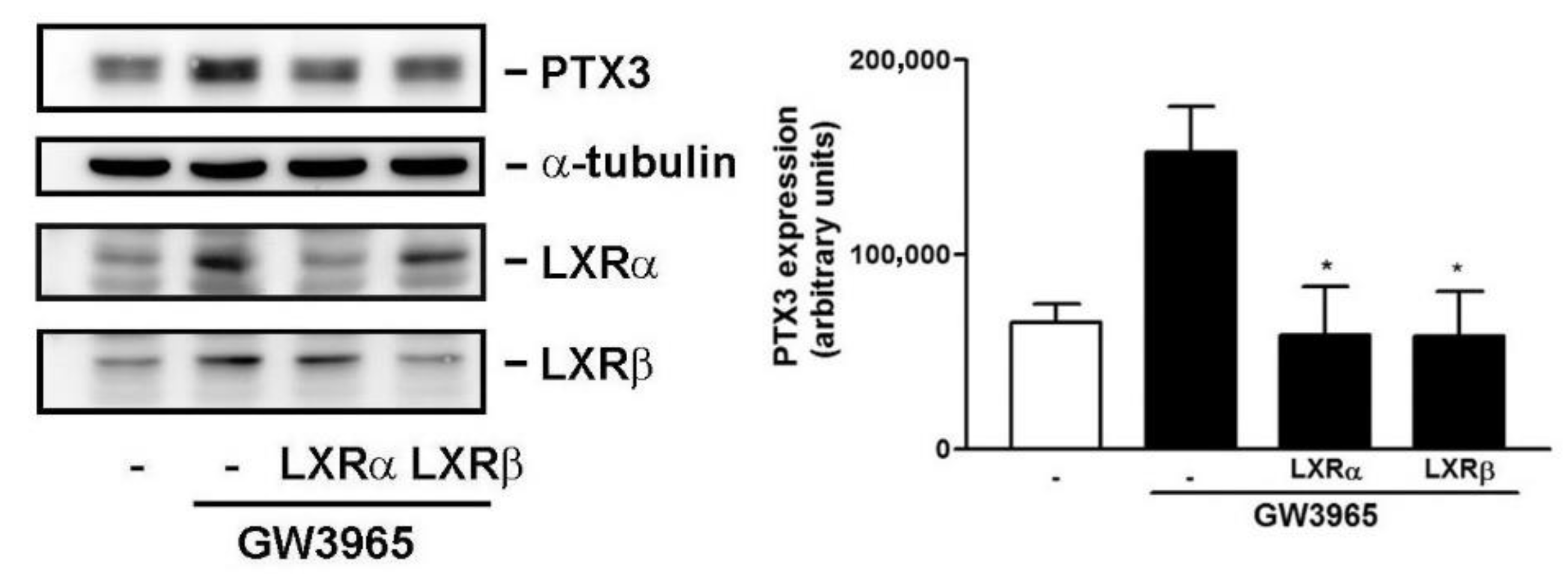 Jcm 10 00452 g007 Jcm 10 00452 g007