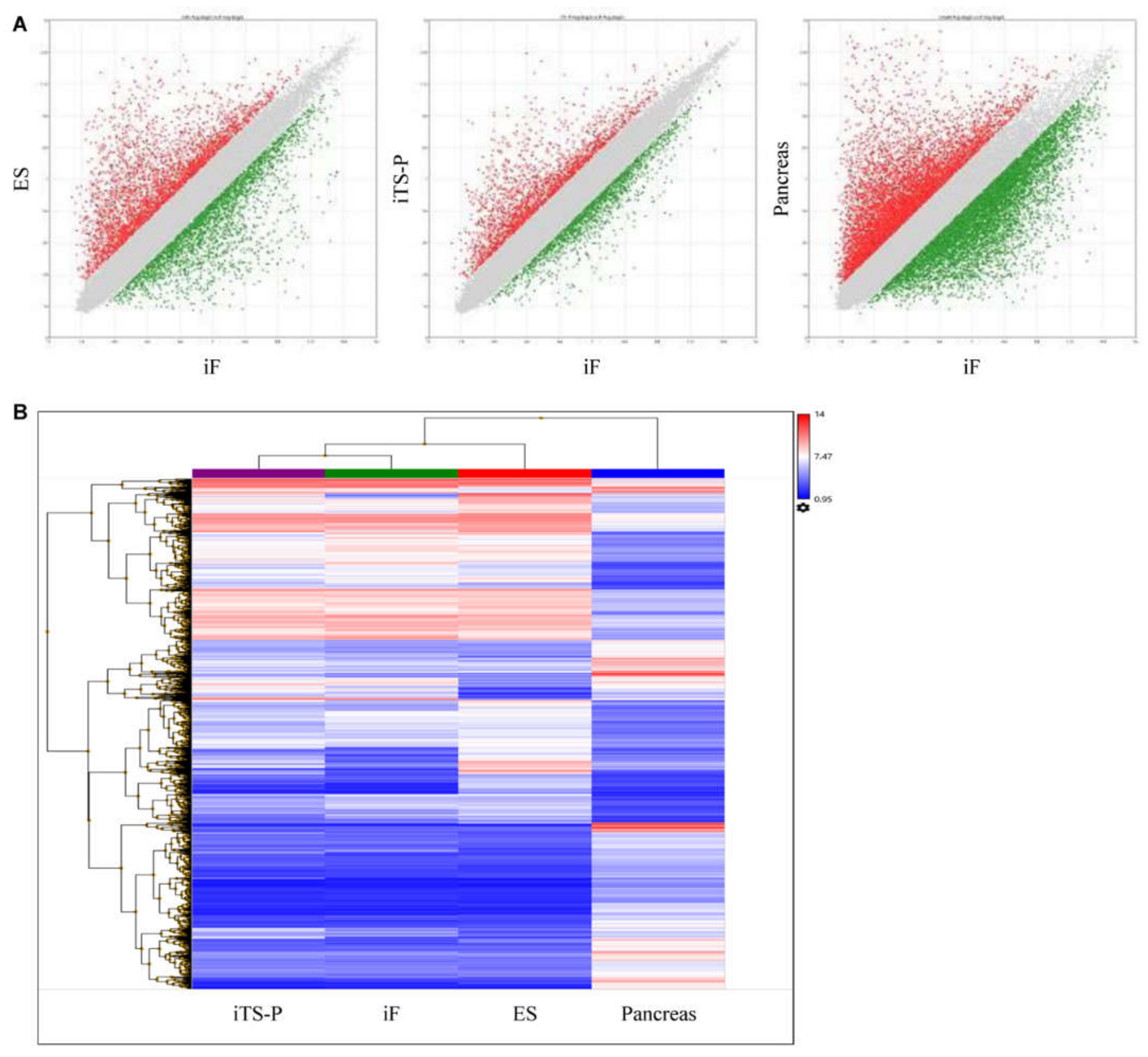 Jcm 10 00454 g002 Jcm 10 00454 g002