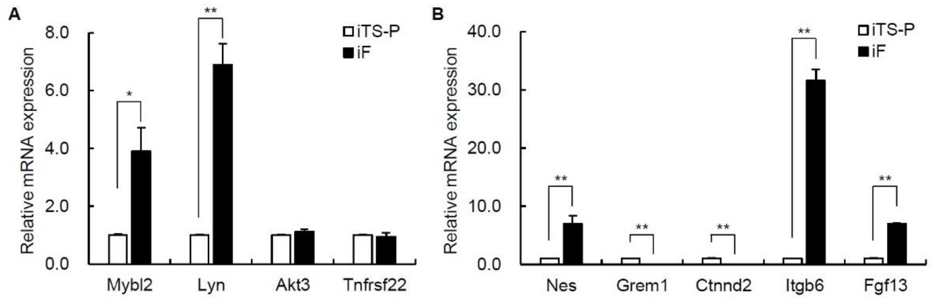 Jcm 10 00454 g004 Jcm 10 00454 g004