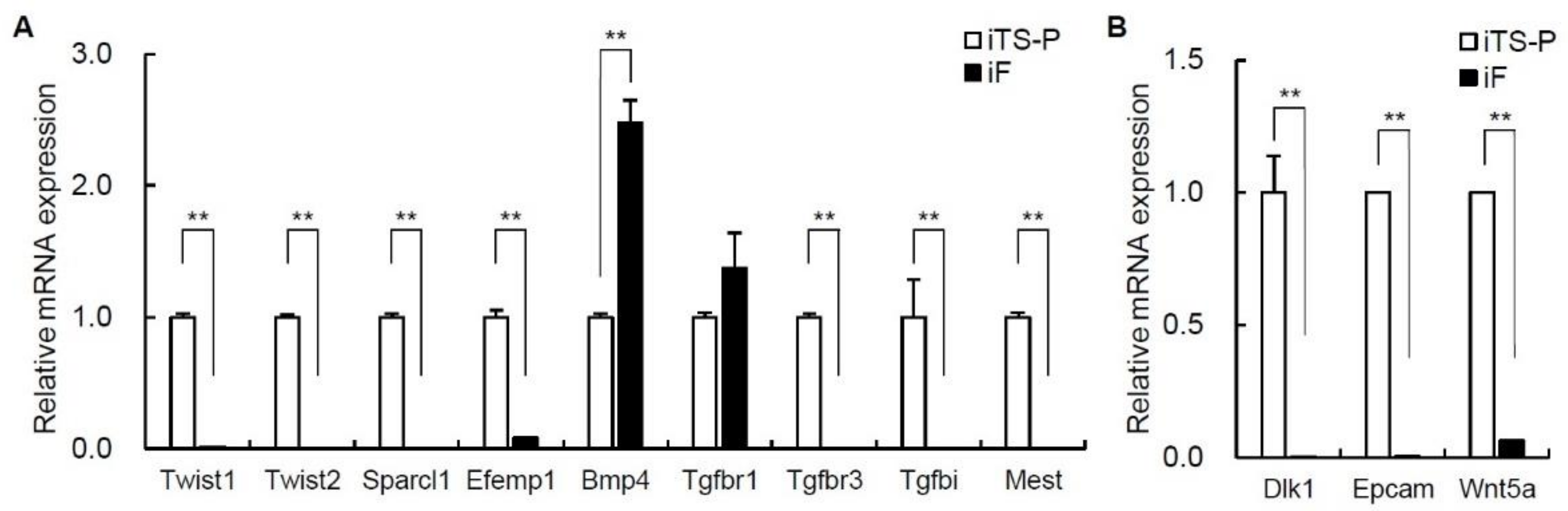 Jcm 10 00454 g005 Jcm 10 00454 g005