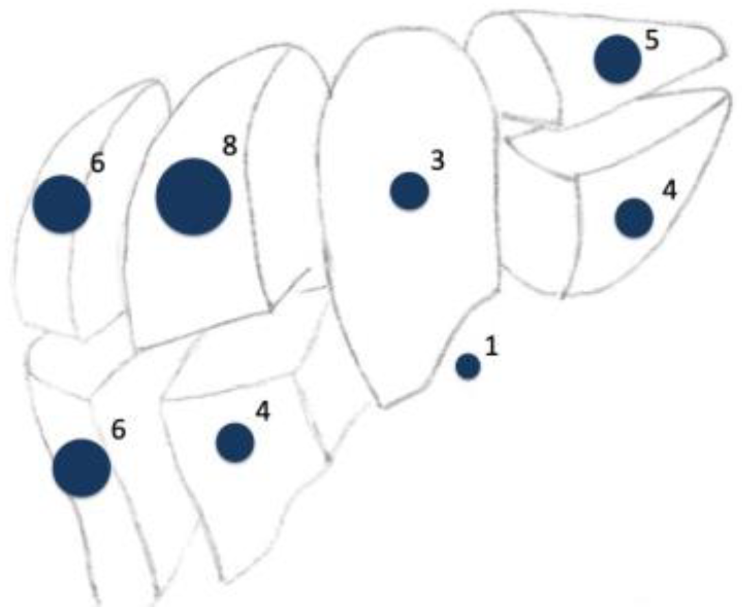 Jcm 10 00456 g001 Jcm 10 00456 g001