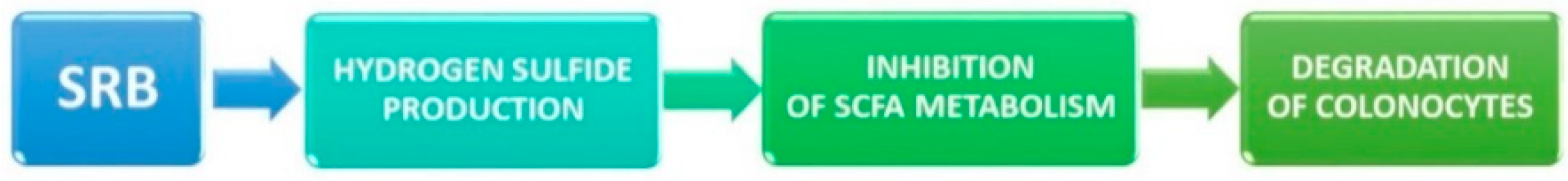 Jcm 10 00462 g005 Jcm 10 00462 g005