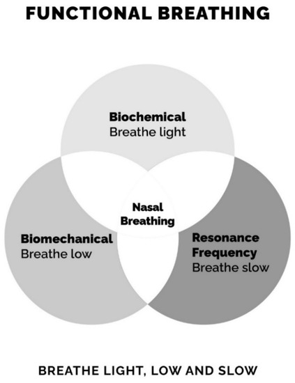 MYOTAPE Sport  For Nose Breathing During Exercise