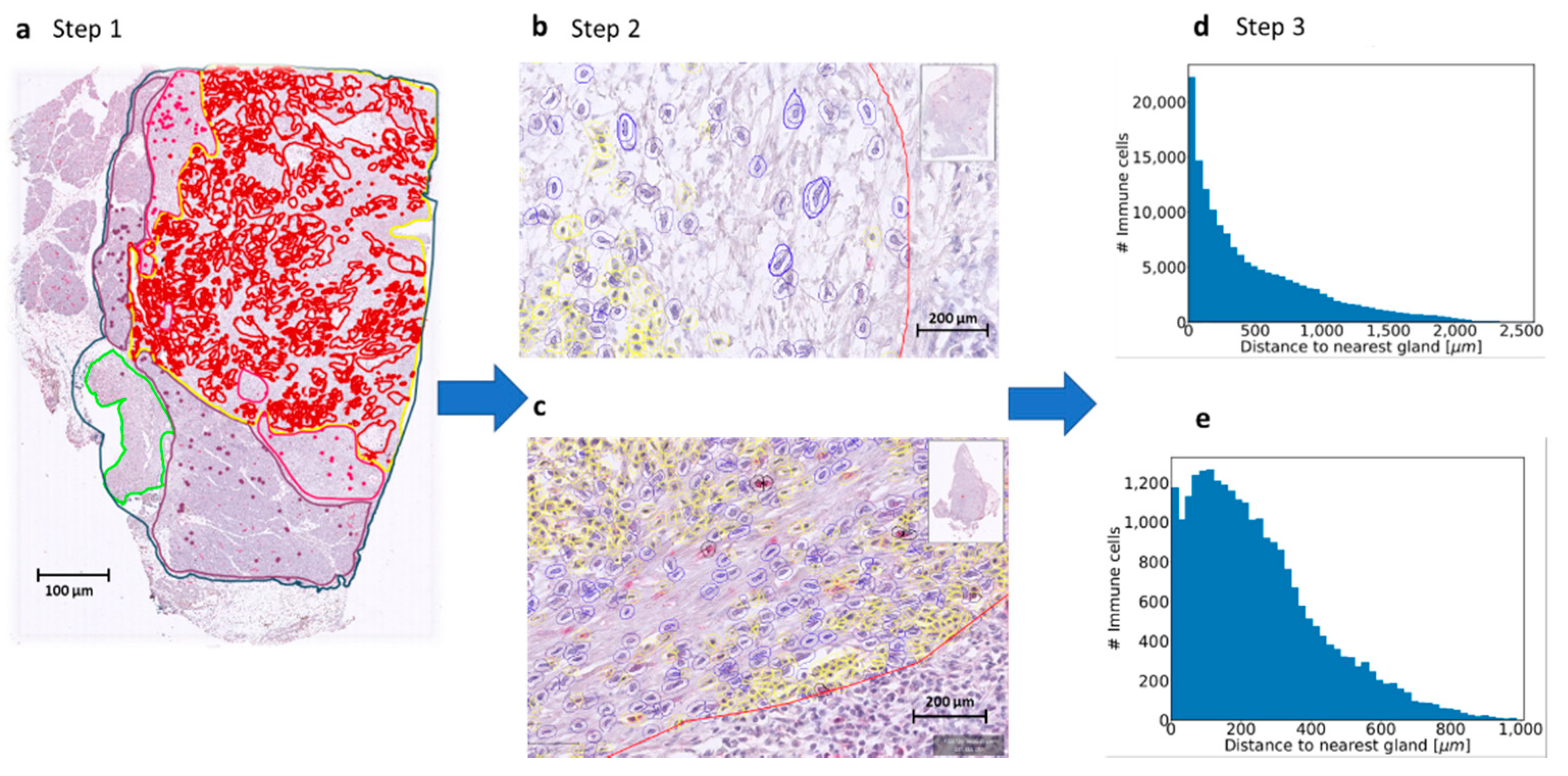 Jcm 10 00490 g002 Jcm 10 00490 g002