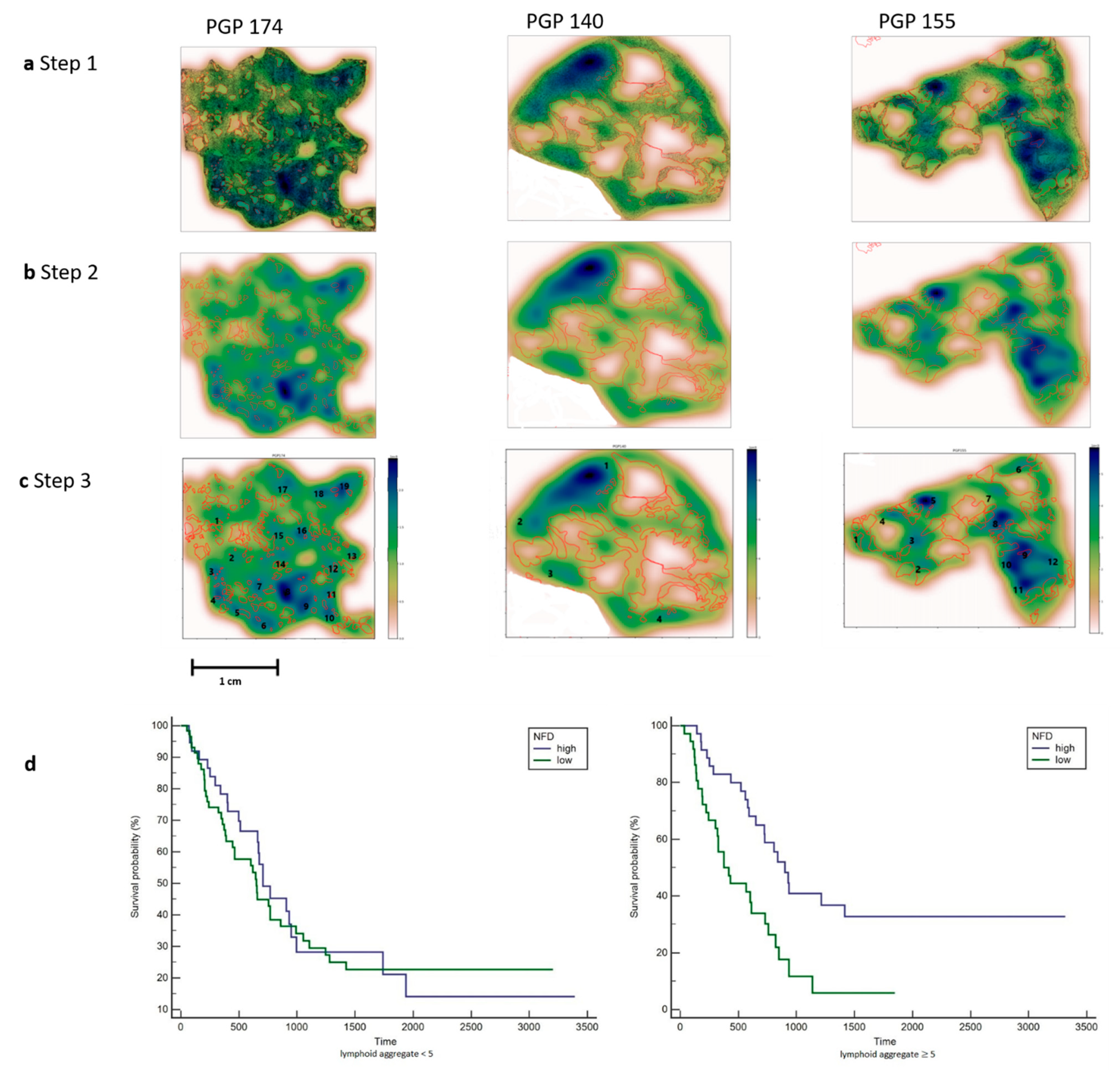 Jcm 10 00490 g003 Jcm 10 00490 g003