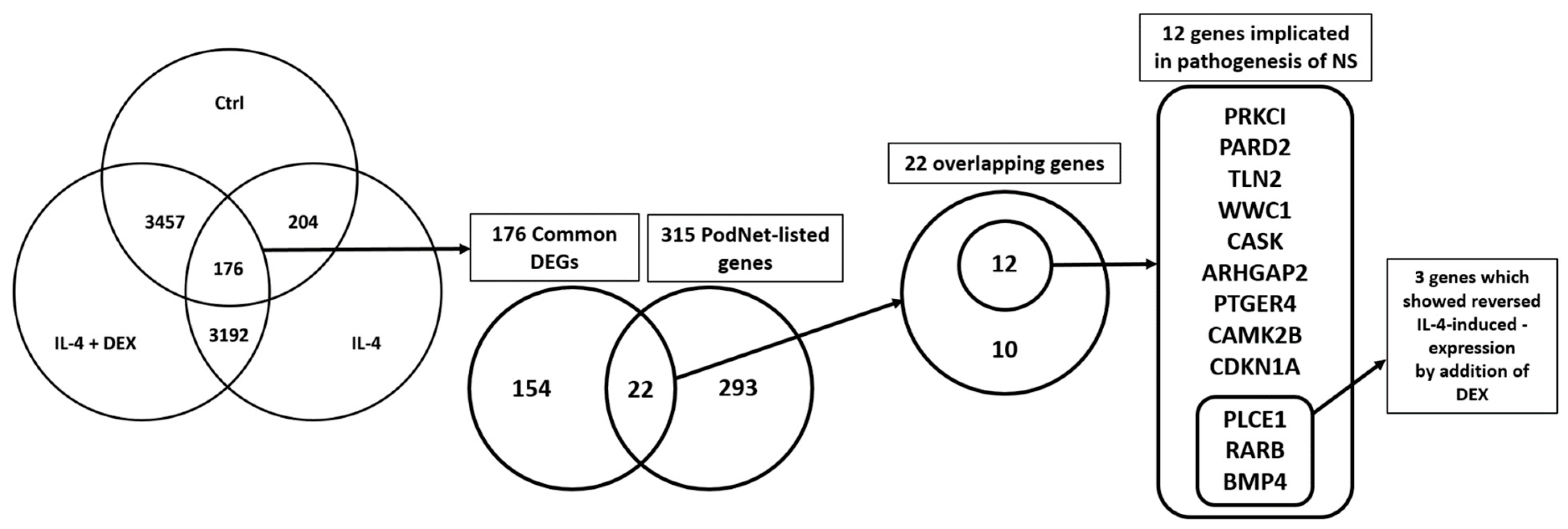 Jcm 10 00496 g005 Jcm 10 00496 g005