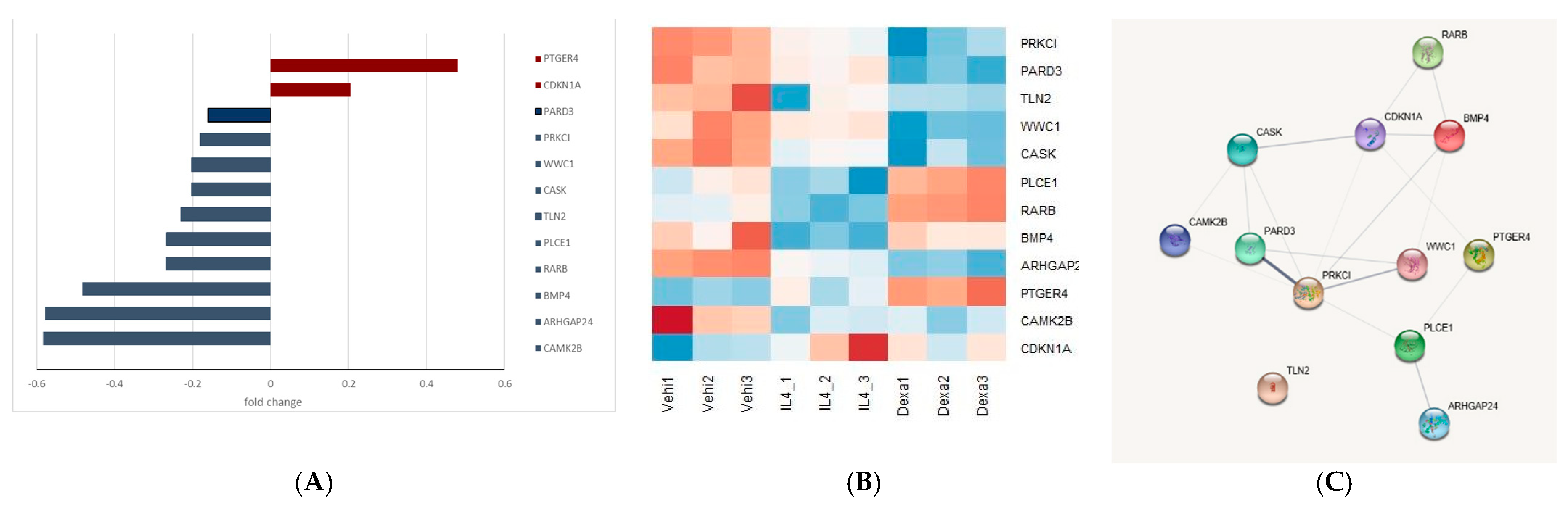 Jcm 10 00496 g006 Jcm 10 00496 g006