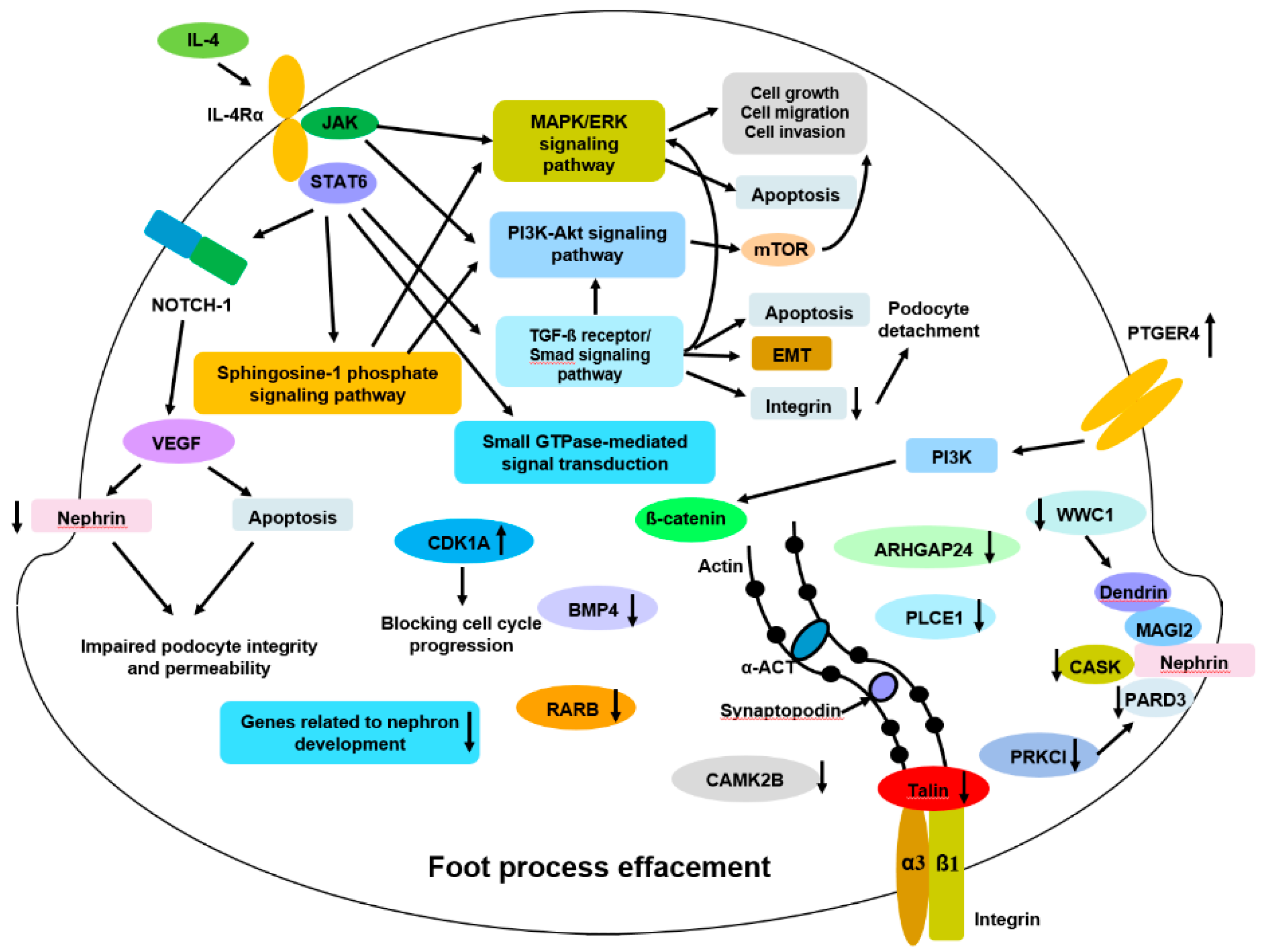 Jcm 10 00496 g009 Jcm 10 00496 g009