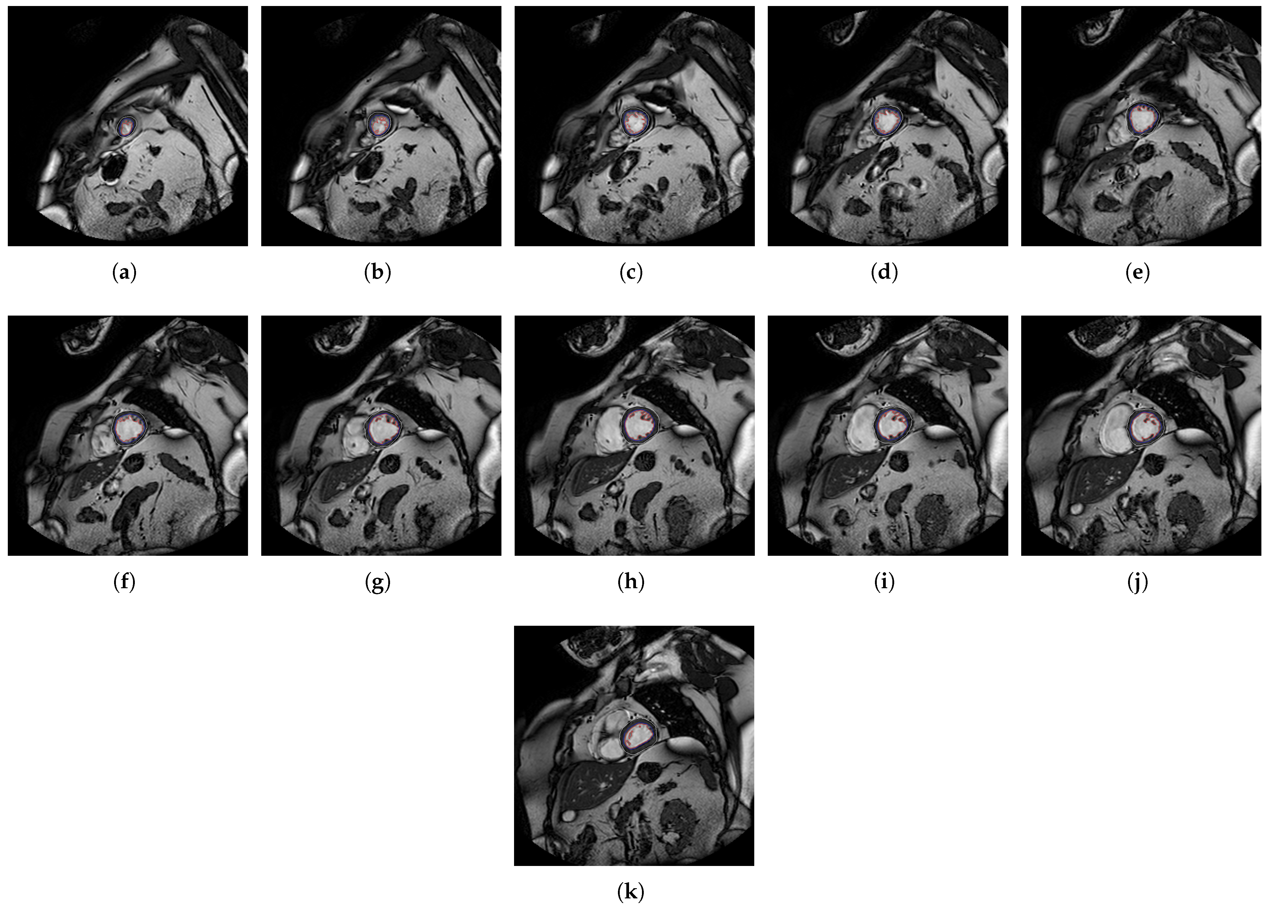 Jcm 10 00503 g005 Jcm 10 00503 g005