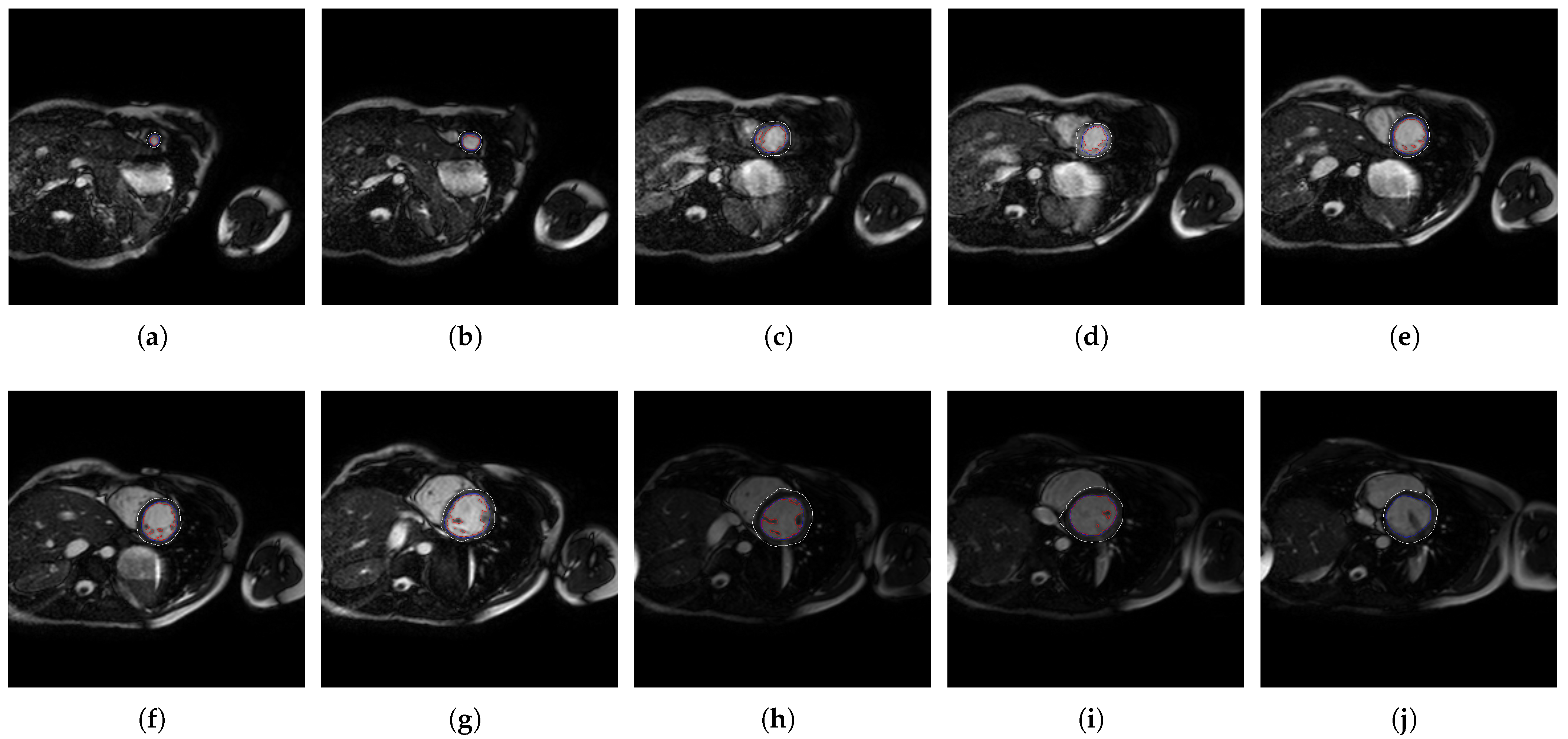 Jcm 10 00503 g007 Jcm 10 00503 g007