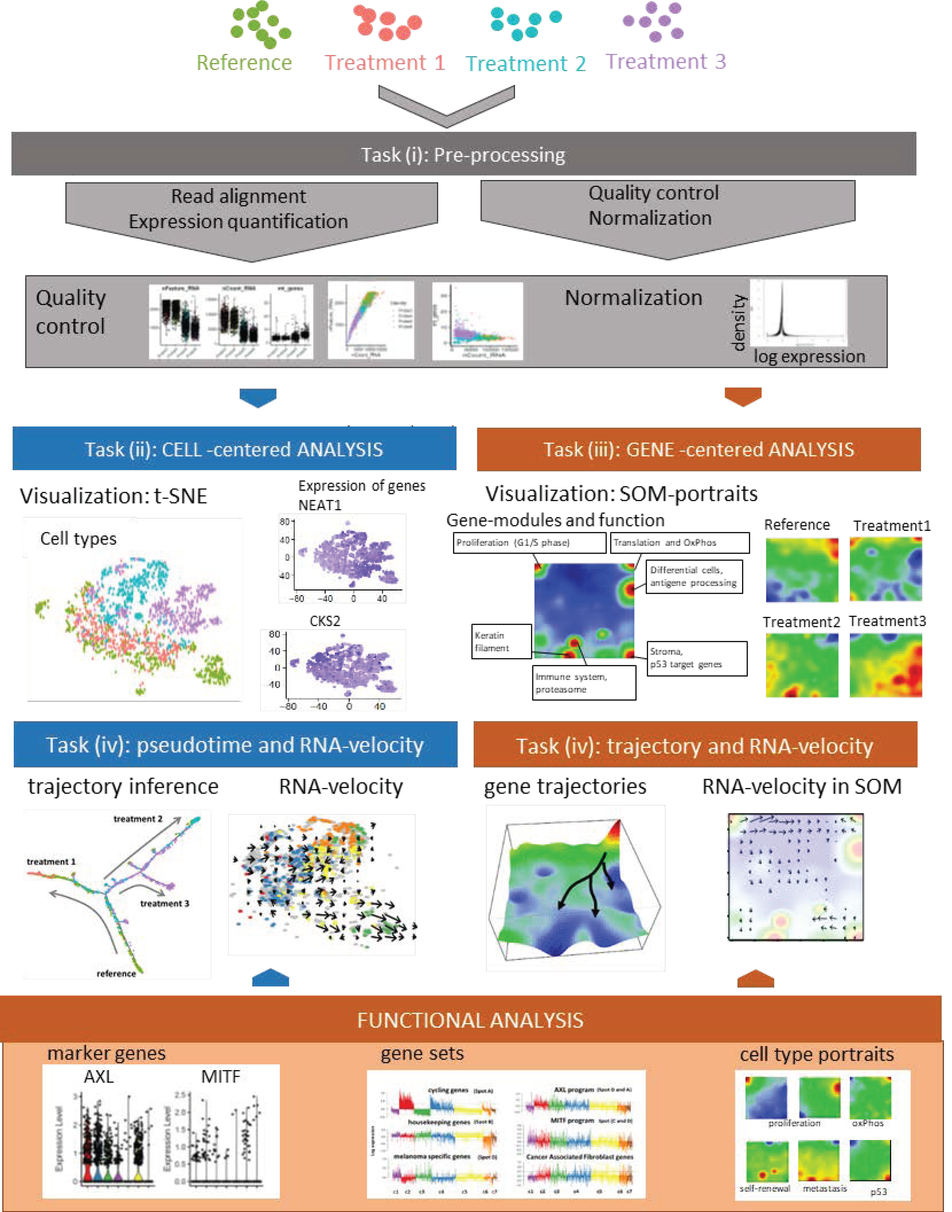 Tunable Single-Cell Extraction for Molecular Analyses: Cell