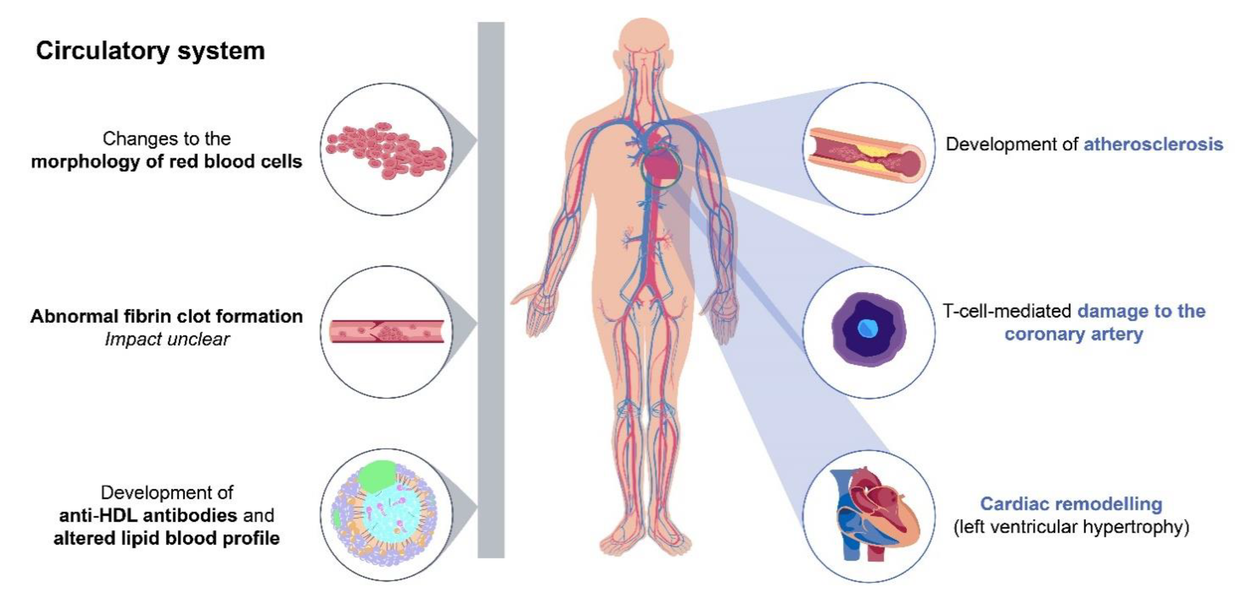 JCM | Free Full-Text | The Key Comorbidities in Patients with